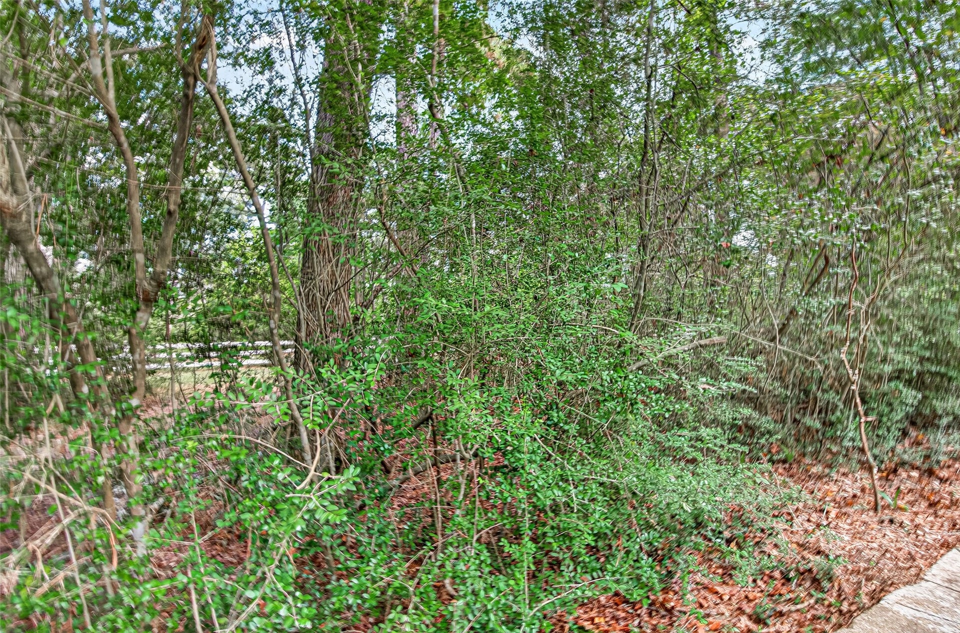 15257 N Saddlewood Drive, Conroe, TX 77384