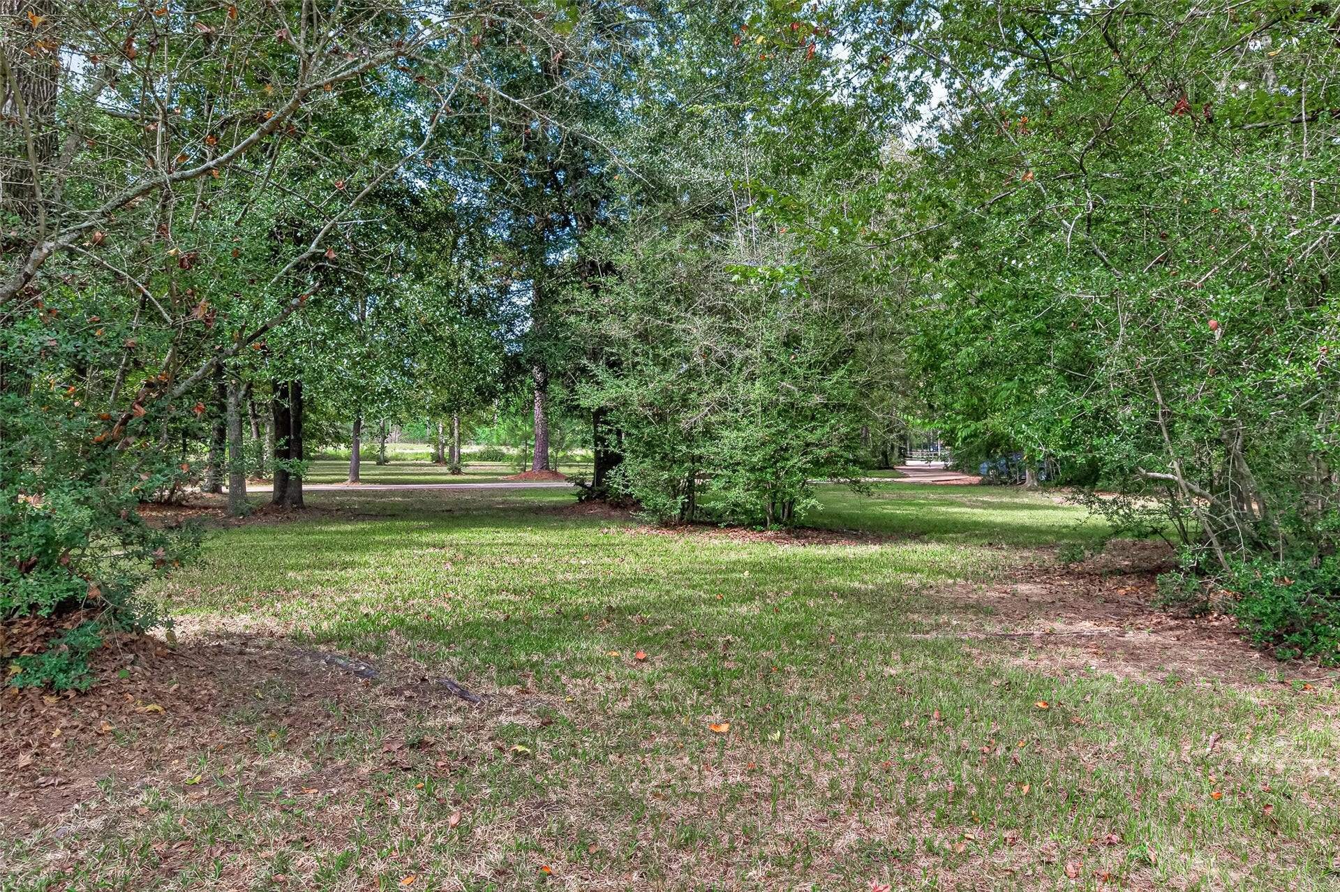 15257 N Saddlewood Drive, Conroe, TX 77384