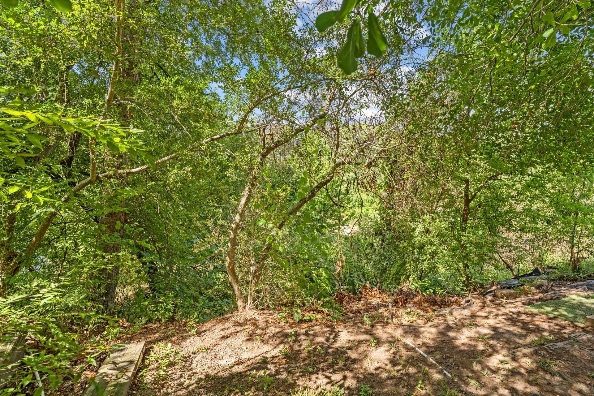 1918 Stoney Brook Drive, Houston, TX 77063 Mature trees and lush greenery along the bayou create a peaceful natural backdrop behind the home.