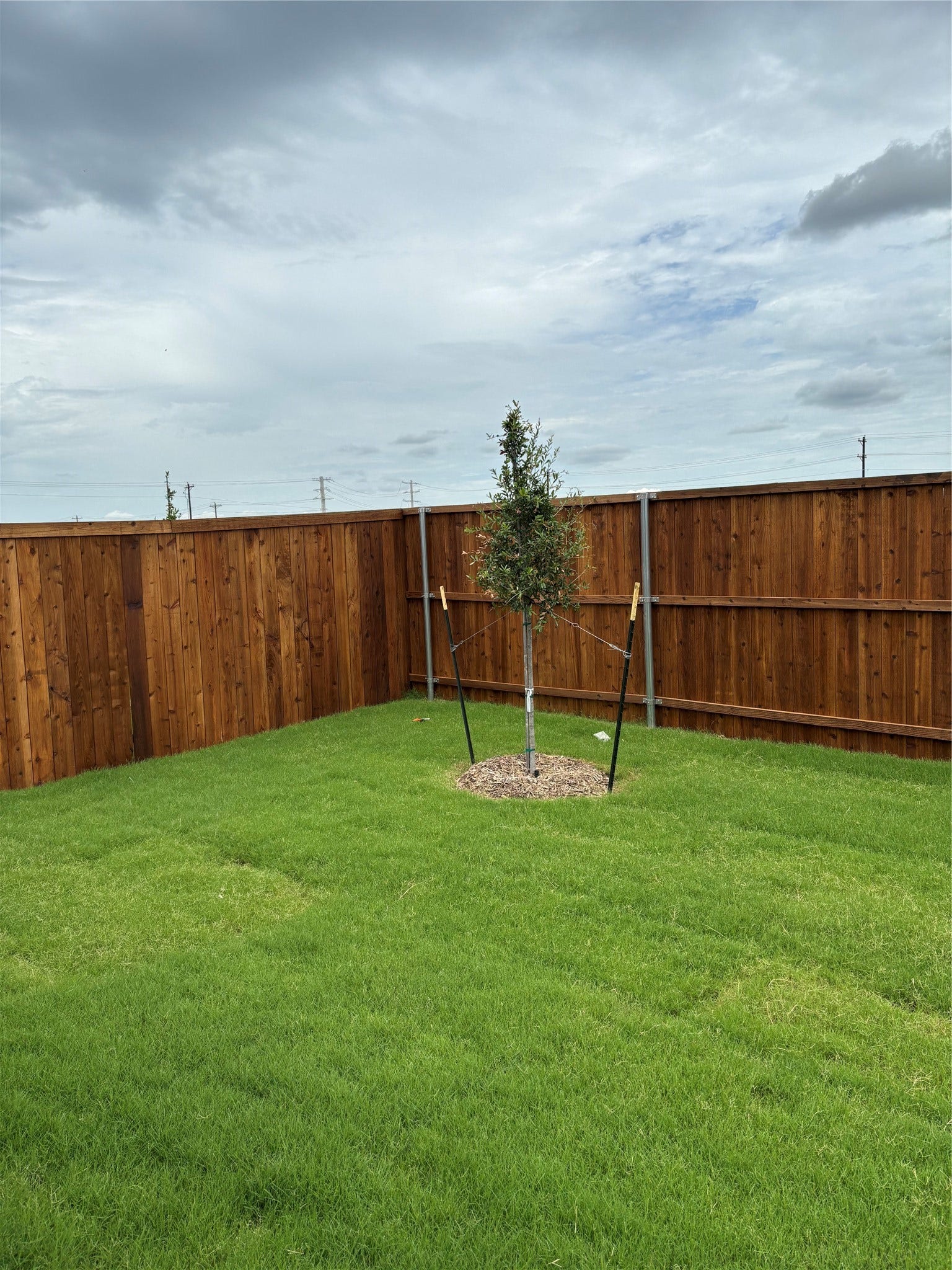 31219 Peonia Lilla Lane, Huffman, TX 77336 31219 Peonia Lilla Lane, Huffman, TX 77336