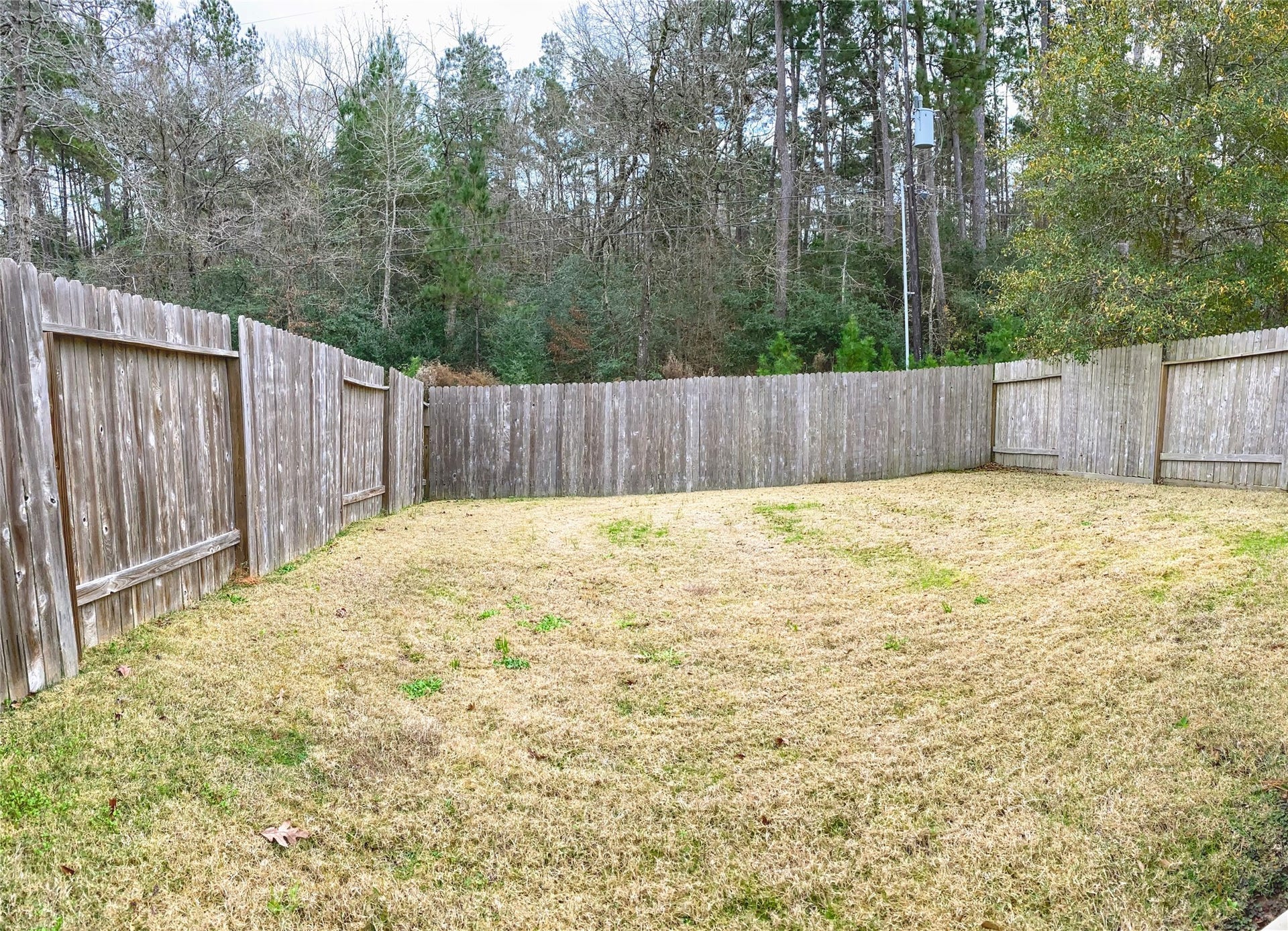 56 Woodland Hills Drive, #B, Conroe, TX 77303 Not actual backyard but a representation.