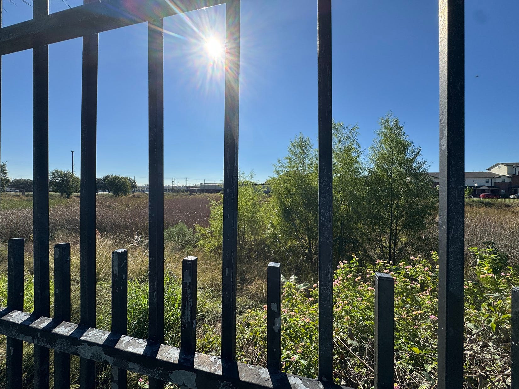 The photo shows a sunny, open field visible through a black metal fence, with some nearby greenery and a few distant buildings under a clear blue sky.