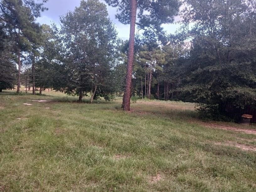 Property photo for 24140 Grand Pines Road, Magnolia, TX