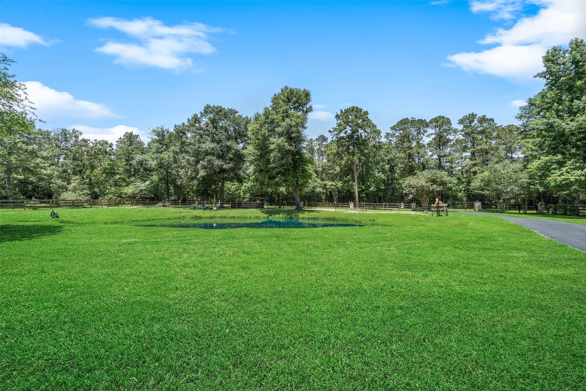 12300 Cedar Lane, Willis, TX 77378 12300 Cedar Lane, Willis, TX 77378