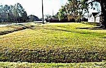Property photo for 0 Magnolia, Houston, TX