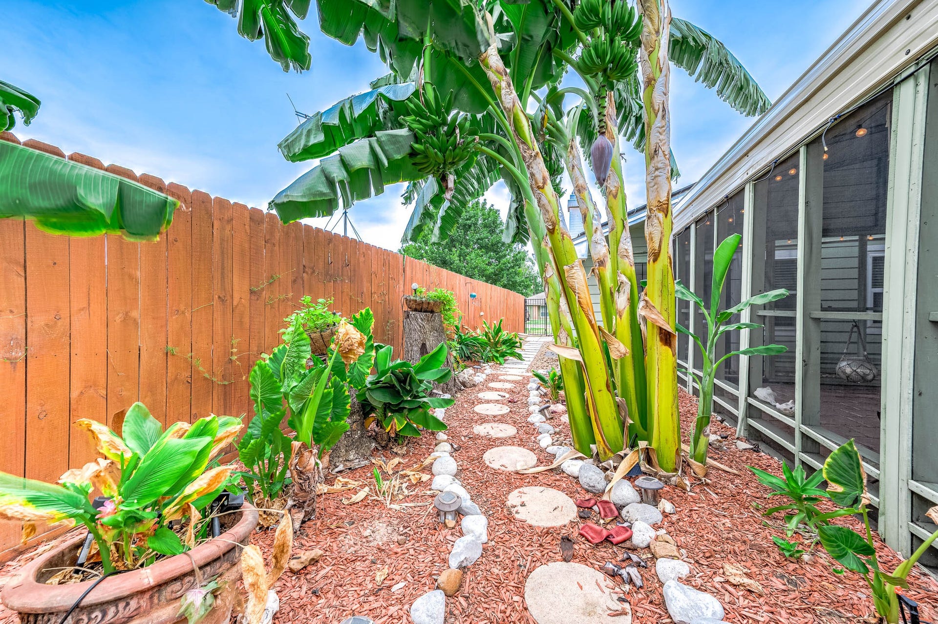 115 S Yaupon Street, Lake Jackson, TX 77566 Landscaped side yard with tropical plantings.