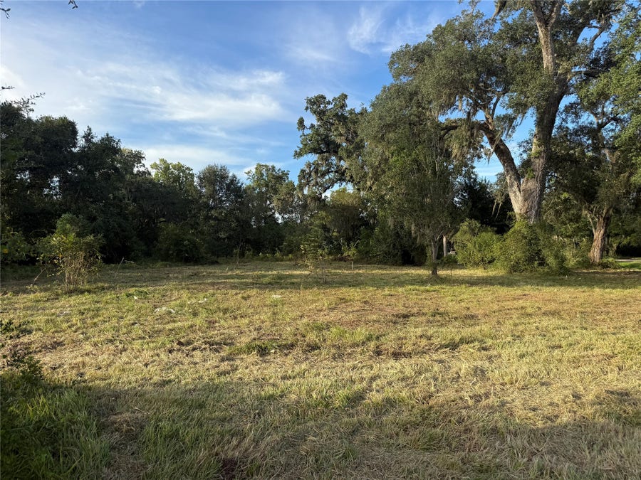 Property photo for 0 County Road 678, Brazoria, TX