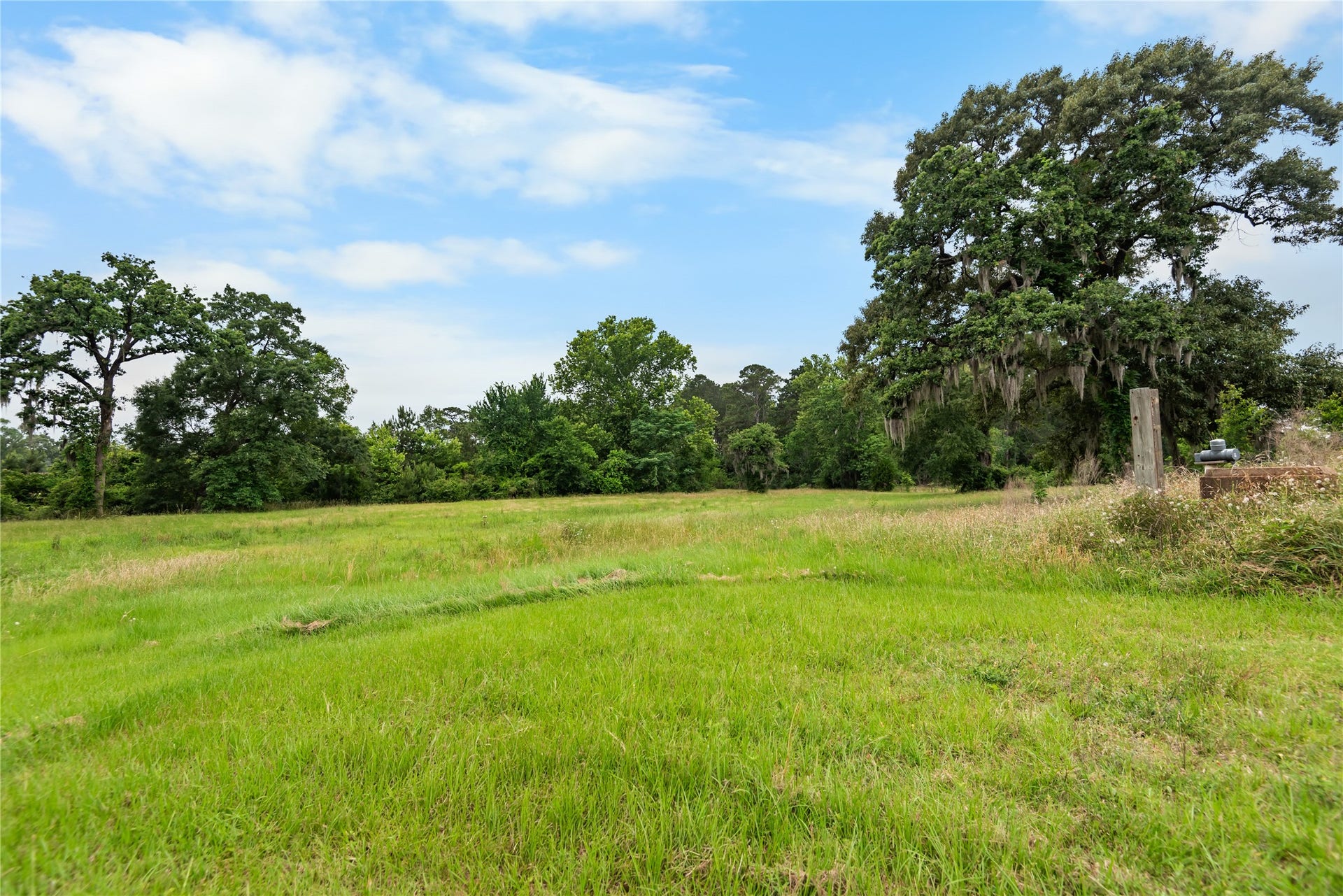 30307 Rickett Lane, Magnolia, TX 77355 Peaceful acreage featuring open green space, scattered shade trees, and a scenic natural setting.