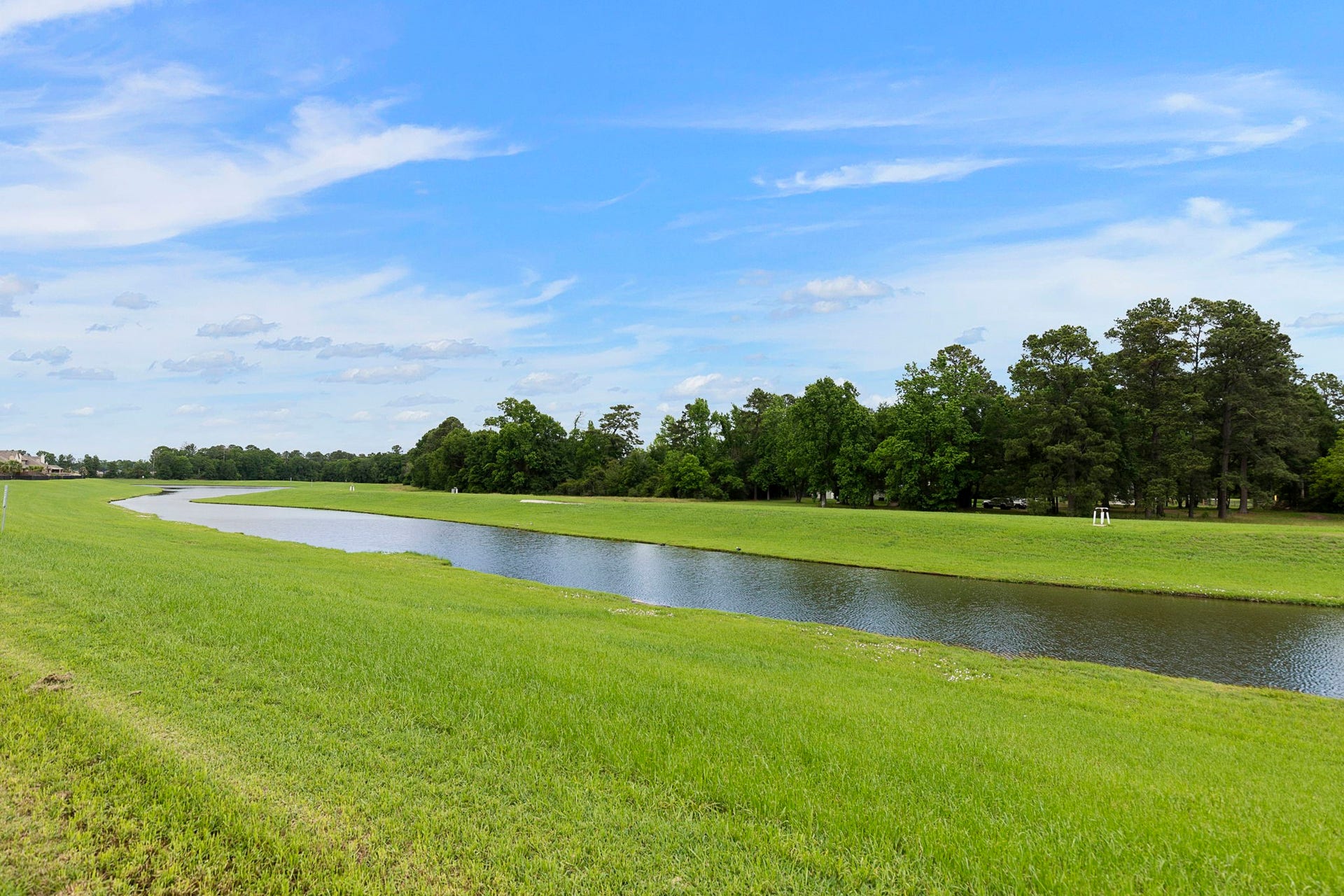 22810 Dale River Road, Tomball, TX 77375 Deer, Blue Herons, Egrets and many more opportunities to watch nature right out your door.