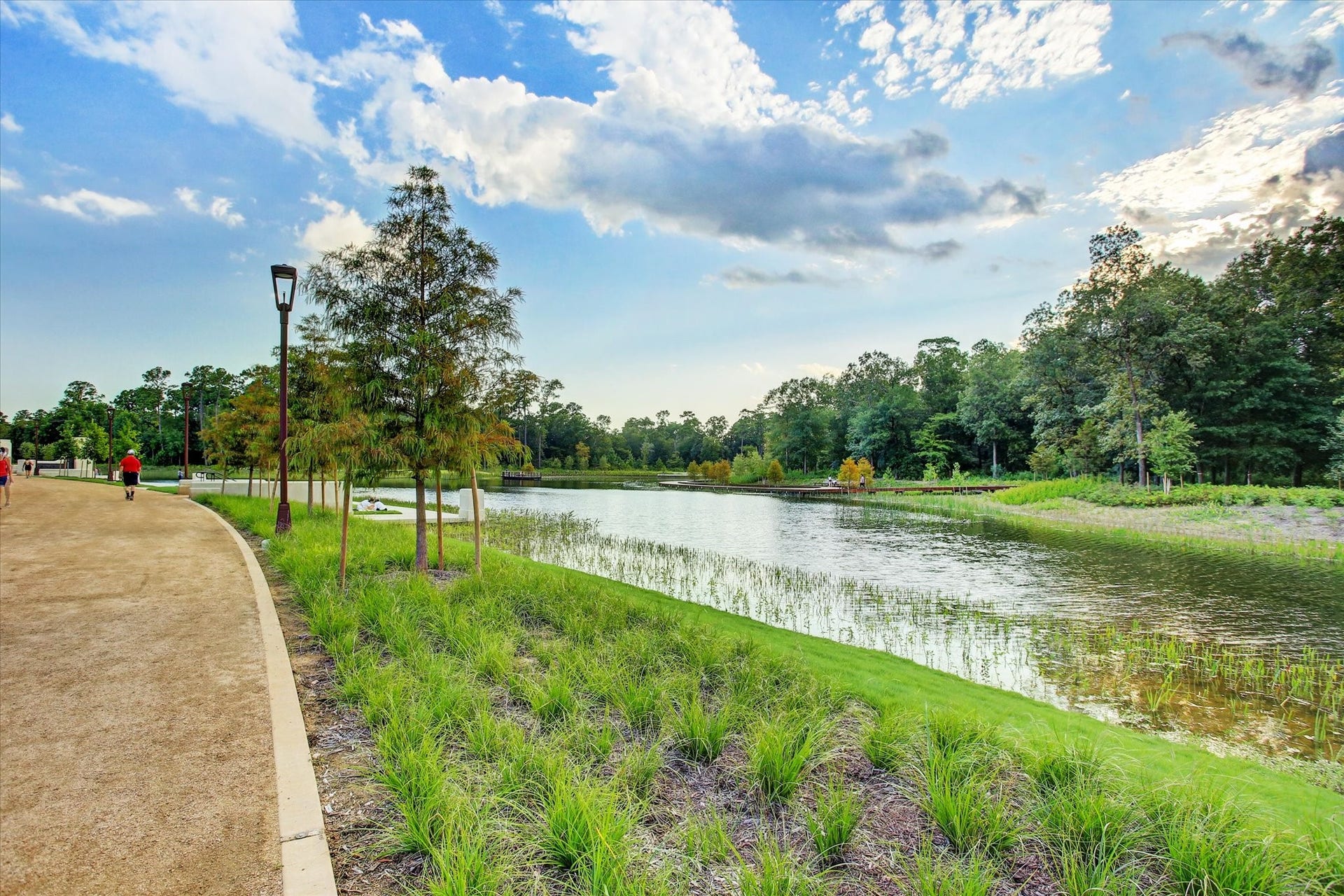 4309 Lillian Street, Houston, TX 77007 Another view of Memorial Park Eastern Glades walking trail and scenic views!