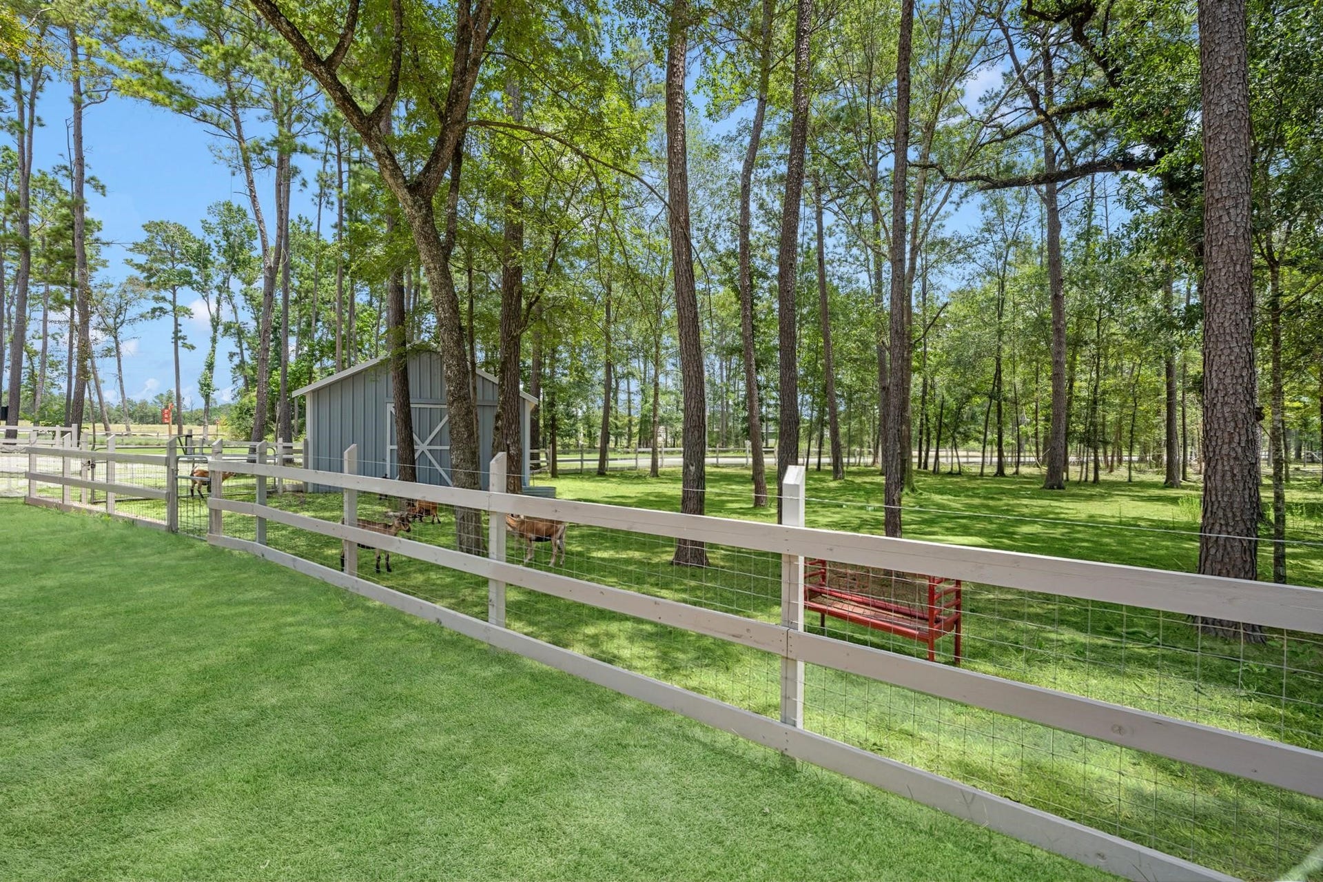 9078 Gracious Street, Montgomery, TX 77316