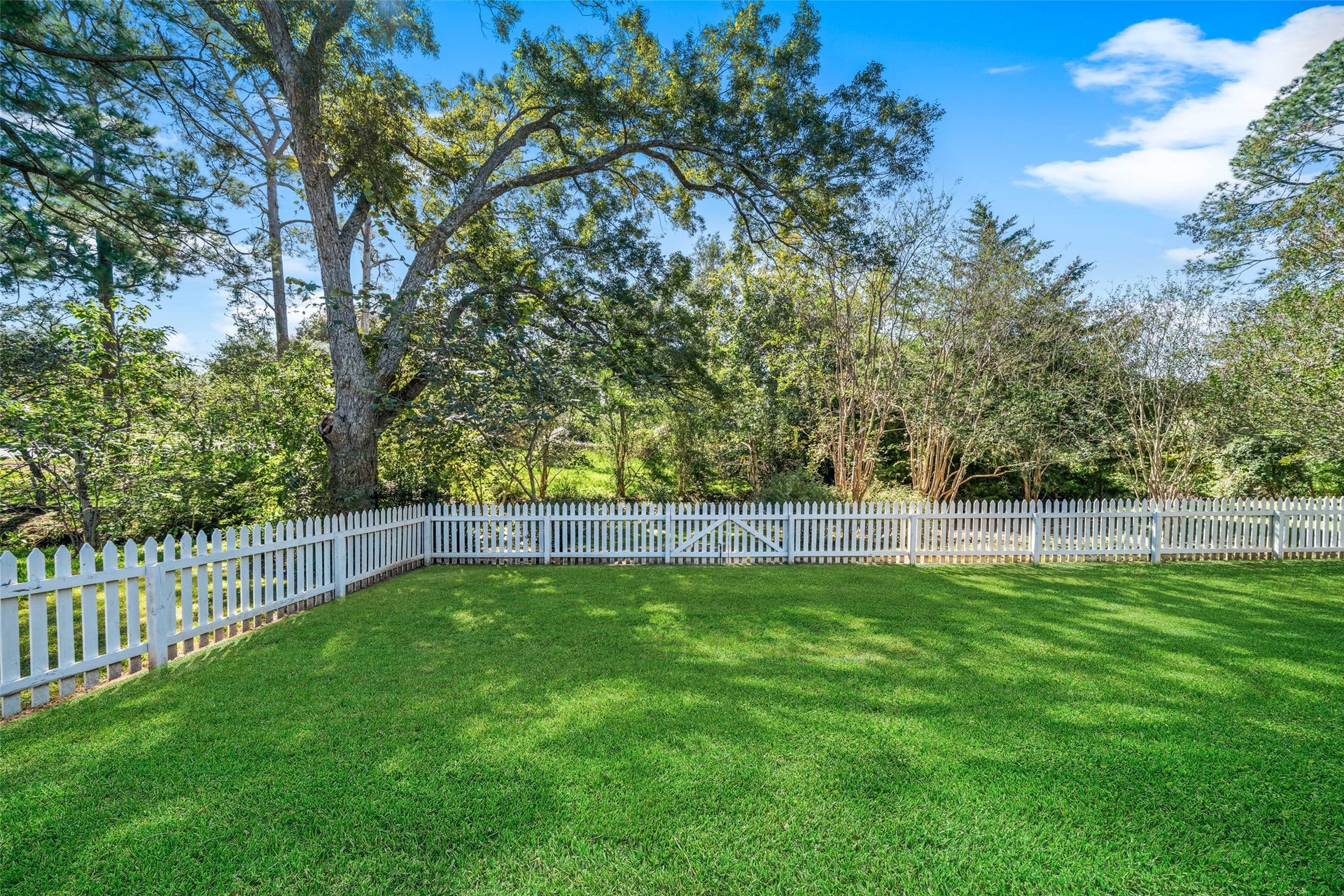 1125 Galveston Street, Hempstead, TX 77445 Spacious fenced yard with an open lawn and established trees along the perimeter.