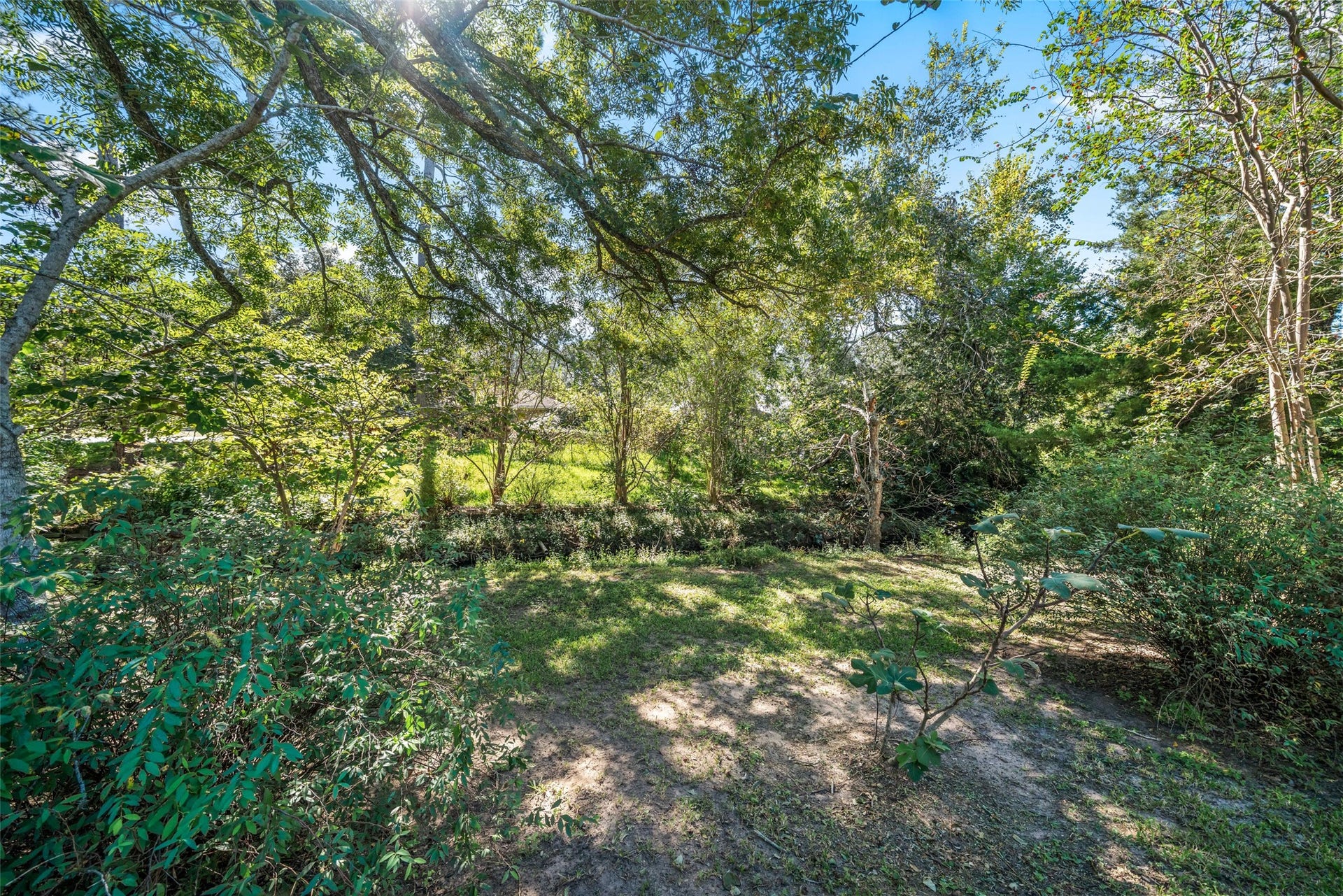 1125 Galveston Street, Hempstead, TX 77445 Wooded area with mature trees, natural ground cover, and dappled sunlight.