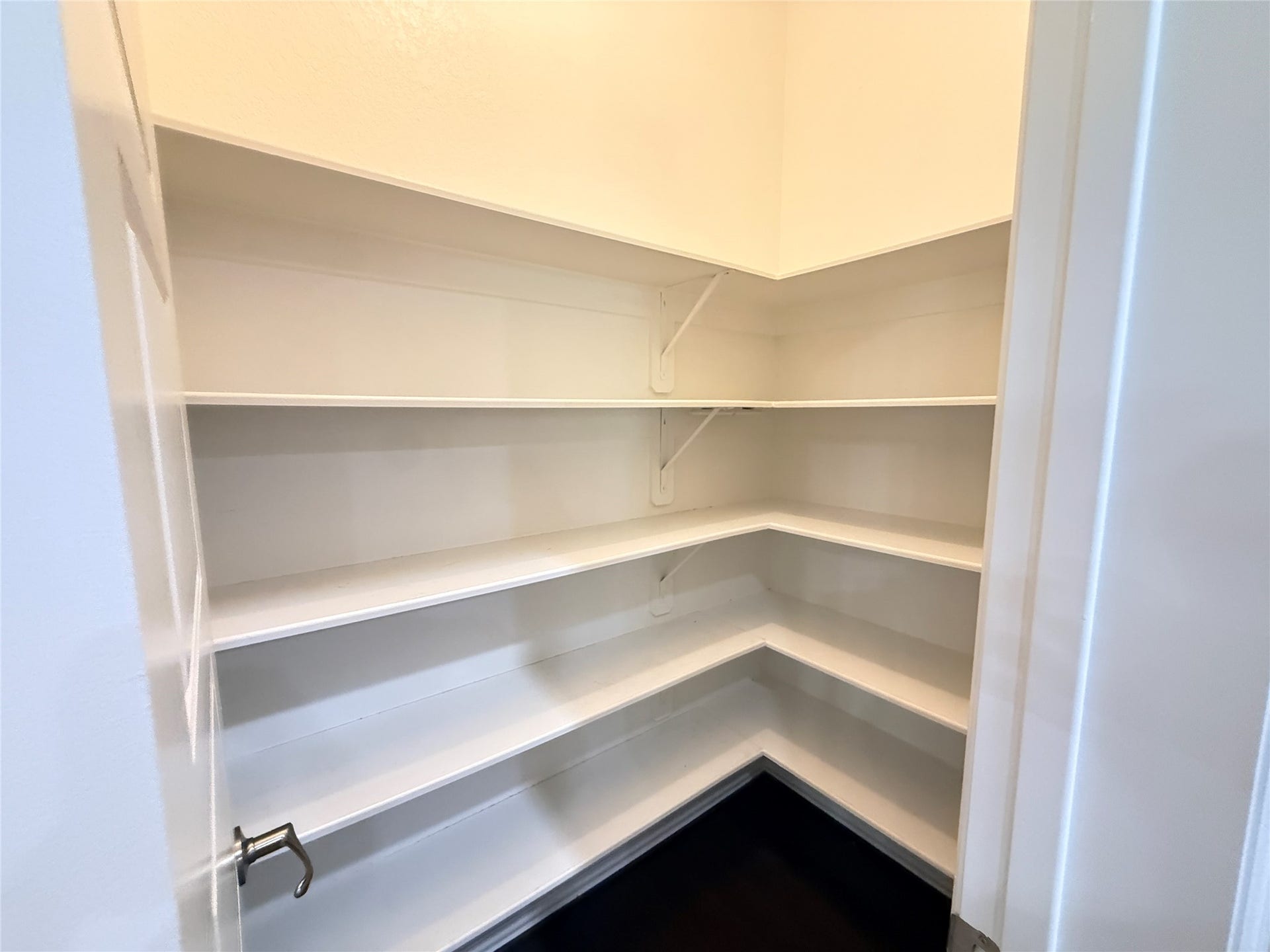 20635 Riley Copper Drive, Cypress, TX 77433 Amazing walk in pantry!