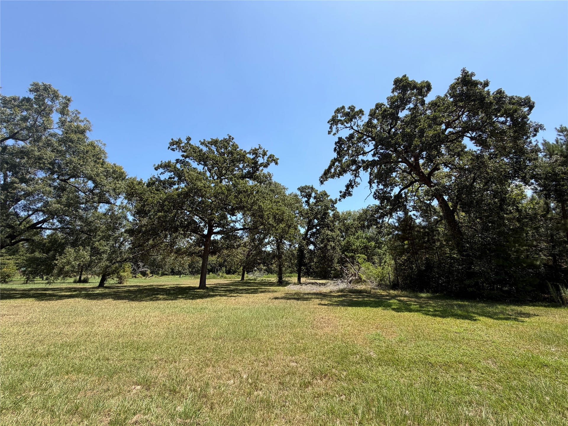 0000 Vale Lane, Porter, TX 77365 Unrestricted 2 Acres for Sale