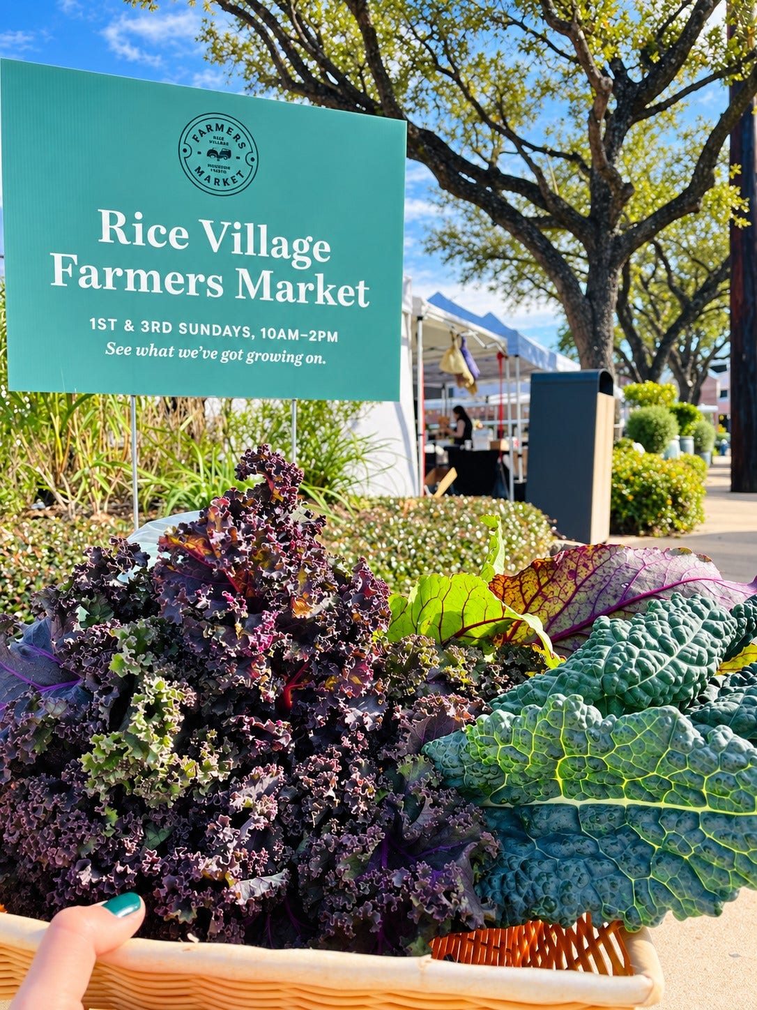 3117 Albans Road, West University Place, TX 77005 Rice Village Farmers Market | Local produce, artisan vendors, and neighborhood charm.