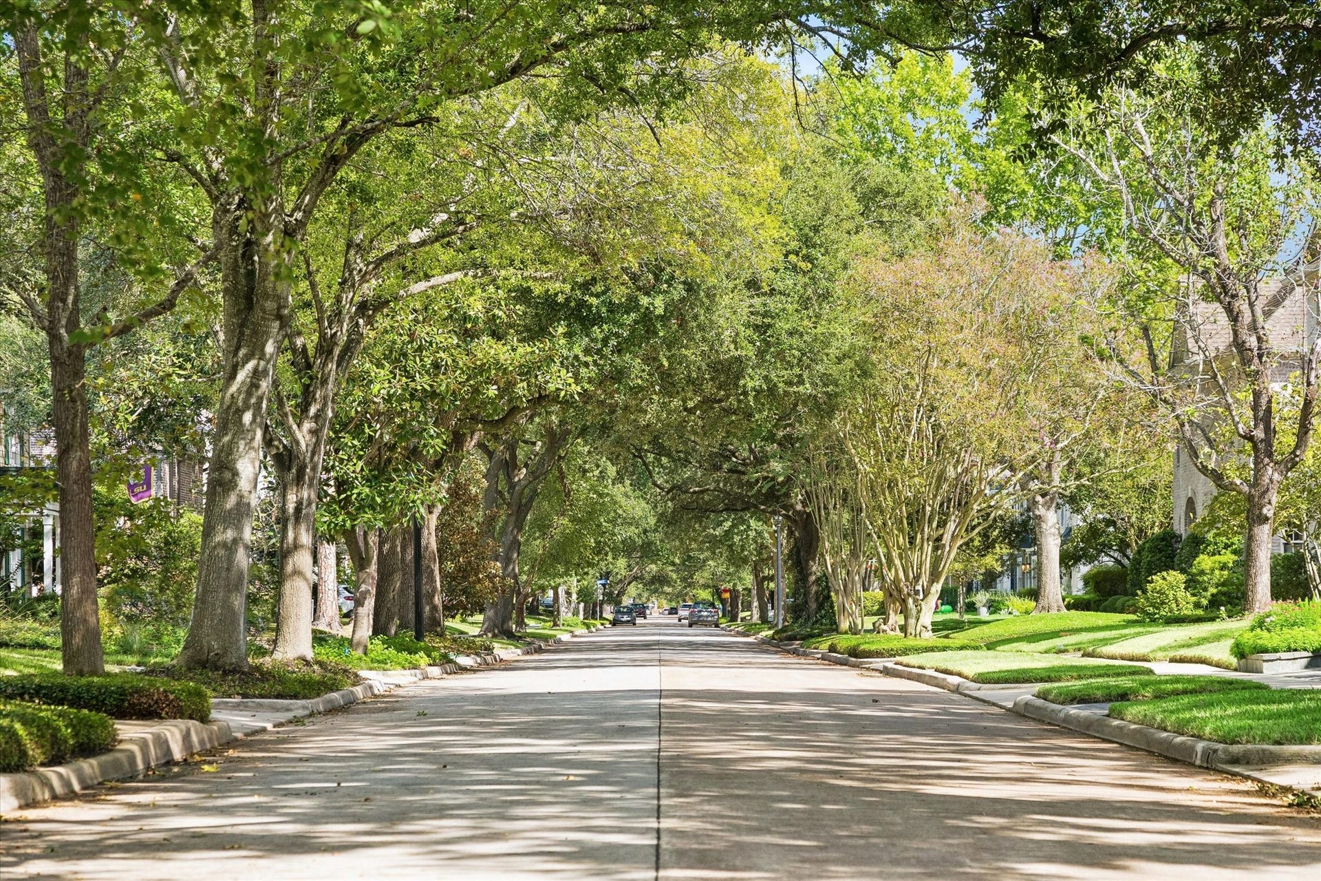 3117 Albans Road, West University Place, TX 77005 3100 block of Albans is lined with a canopy of mature live oaks, sidewalks and manicured lawns.