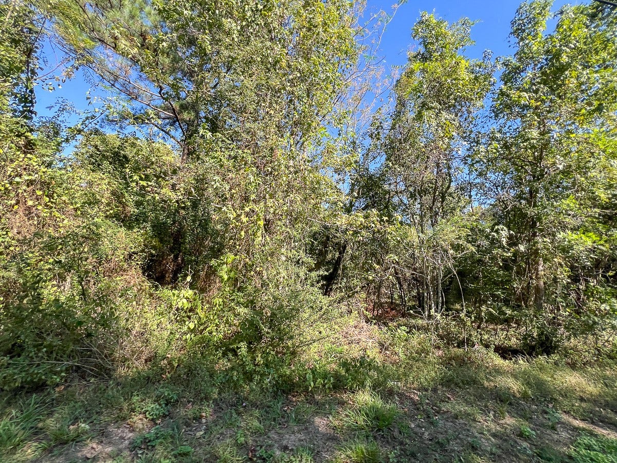 1 Peach Street, Conroe, TX 77301 1 Peach Street, Conroe, TX 77301