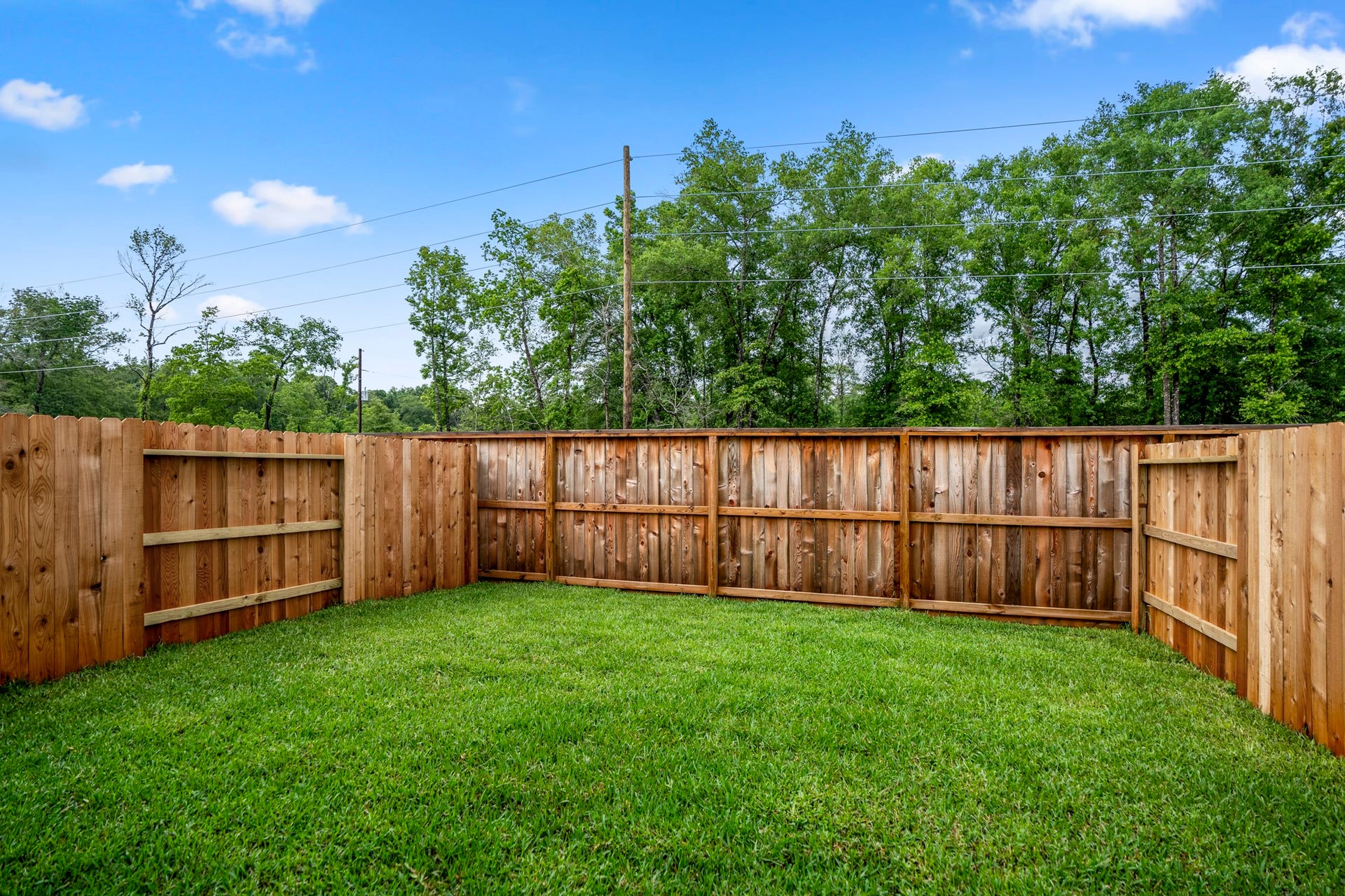 21443 Carosella Dr, New Caney, TX 77357