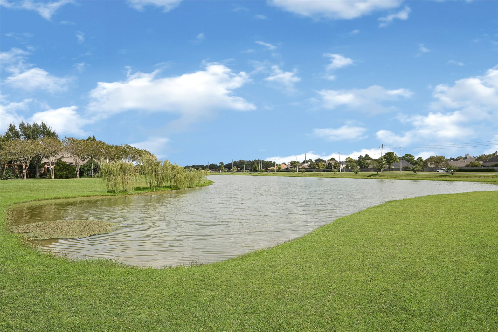 6258 Murphy Wood Drive, League City, TX 77573 What you will see just stepping out of your backyard.