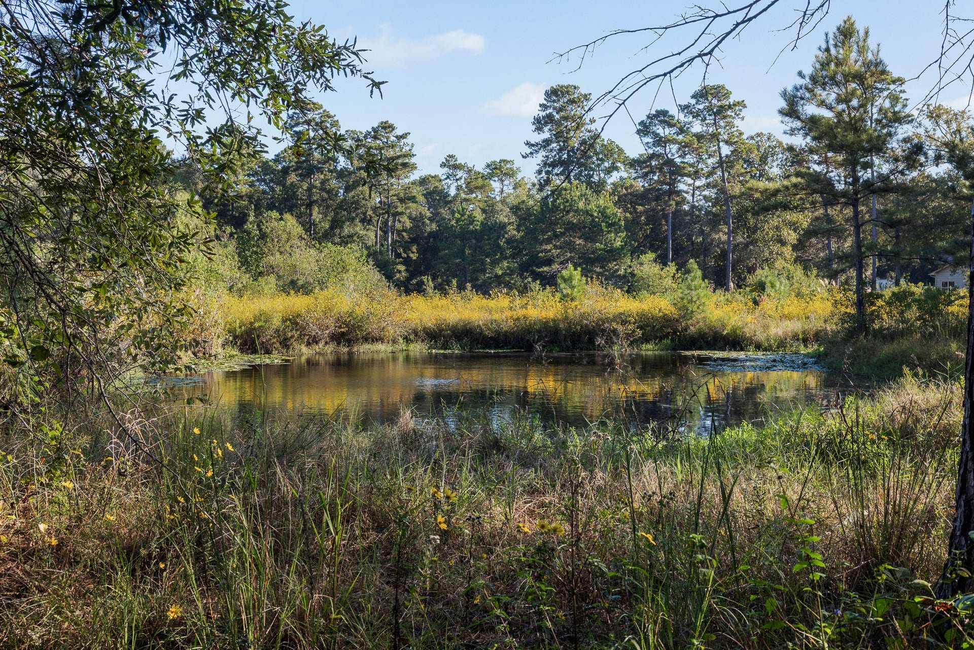 13060 Fm 1485 Road, Conroe, TX 77306 13060 Fm 1485 Road, Conroe, TX 77306