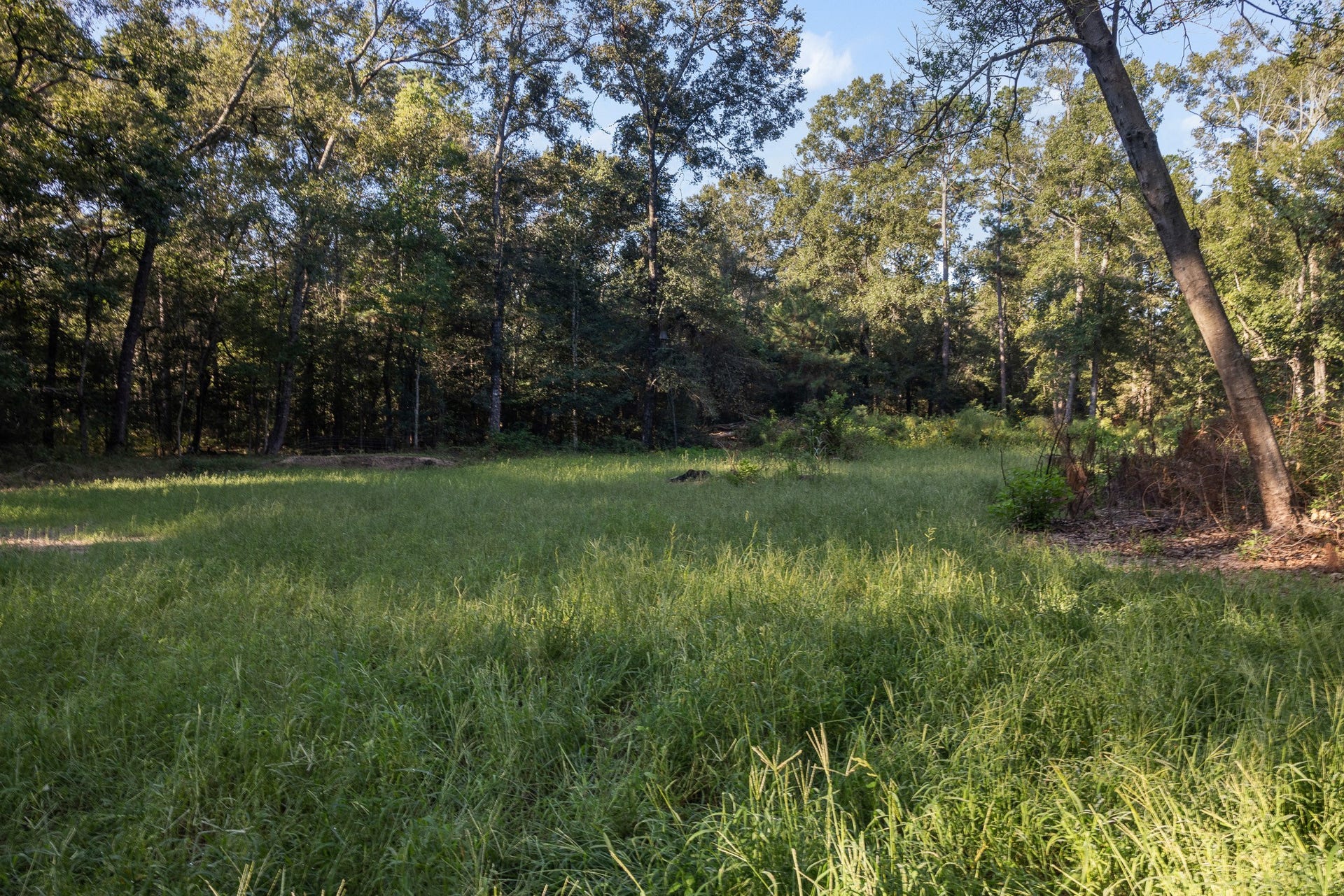 13060 Fm 1485 Road, Conroe, TX 77306 13060 Fm 1485 Road, Conroe, TX 77306