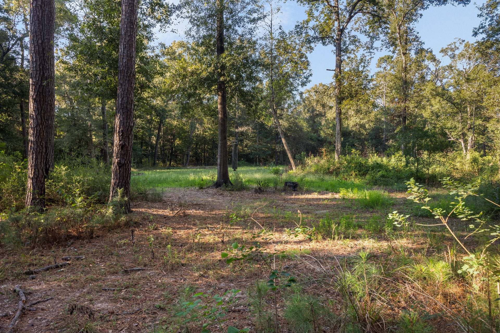 13060 Fm 1485 Road, Conroe, TX 77306 13060 Fm 1485 Road, Conroe, TX 77306