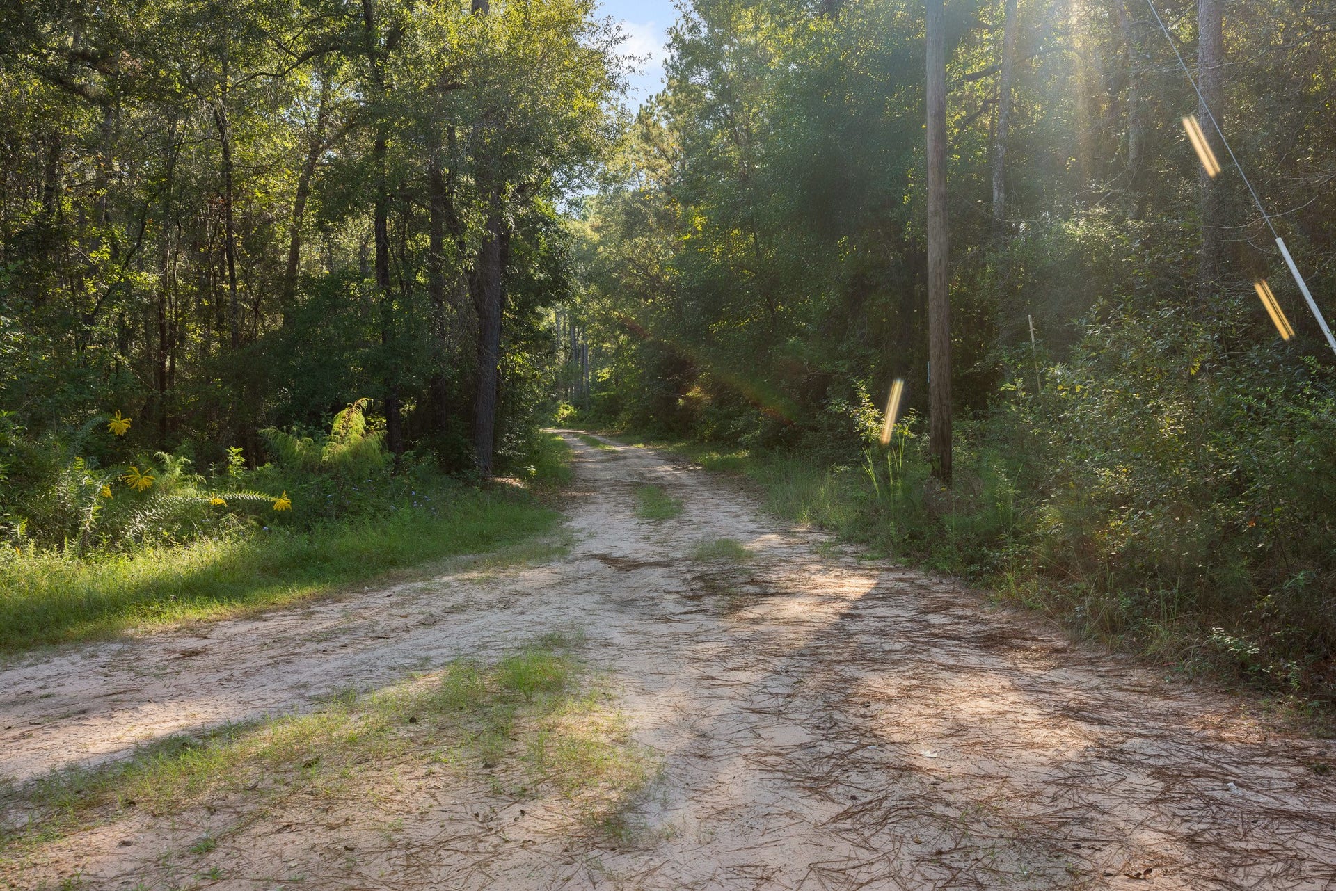 13060 Fm 1485 Road, Conroe, TX 77306 13060 Fm 1485 Road, Conroe, TX 77306