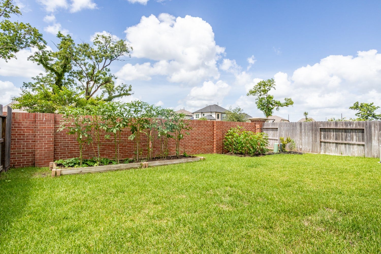 10719 Blossom River Drive, Missouri City, TX 77459 beautiful backyard with no back neighbors