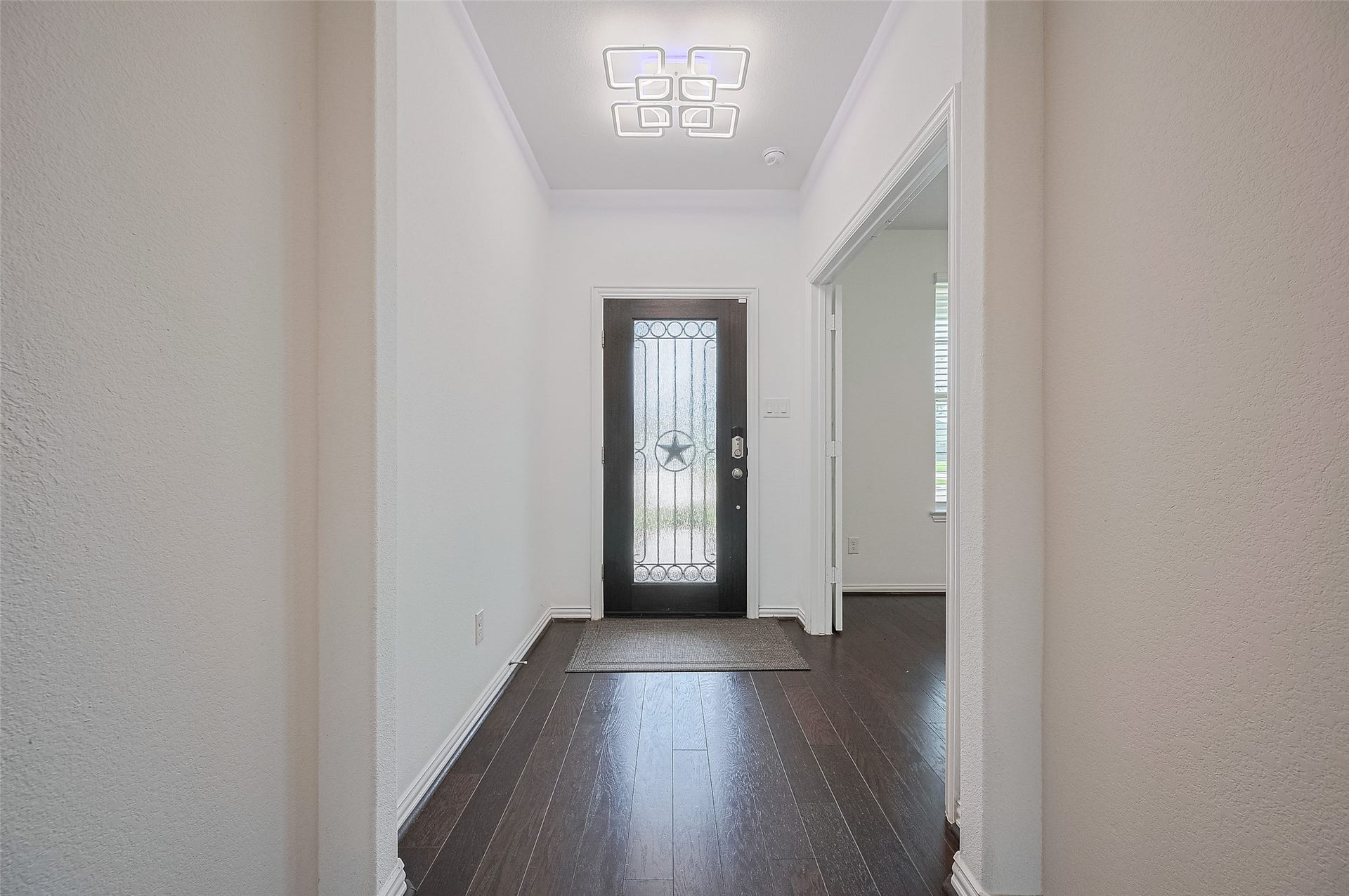 31326 Whitfield Court, Fulshear, TX 77441 Bright entryway with a decorative glass door and wooden floor.