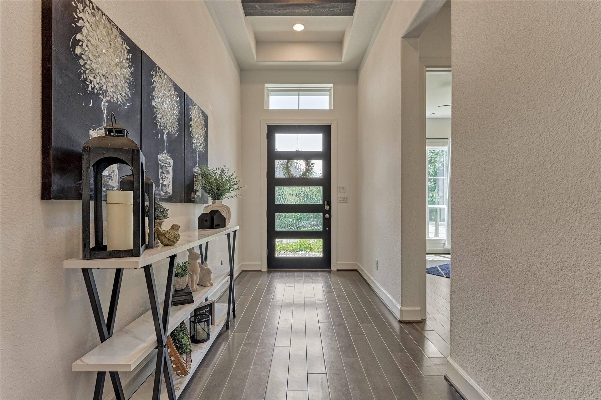205 Patina Sorrel Drive, Montgomery, TX 77316 Bright and welcoming entryway with elegant wood flooring and modern glass front door