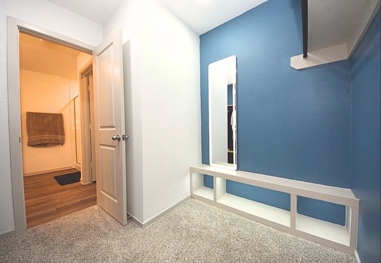 1742 Lilypad Drive, Alvin, TX 77511 Custom LED light and mirror and shoe shelving