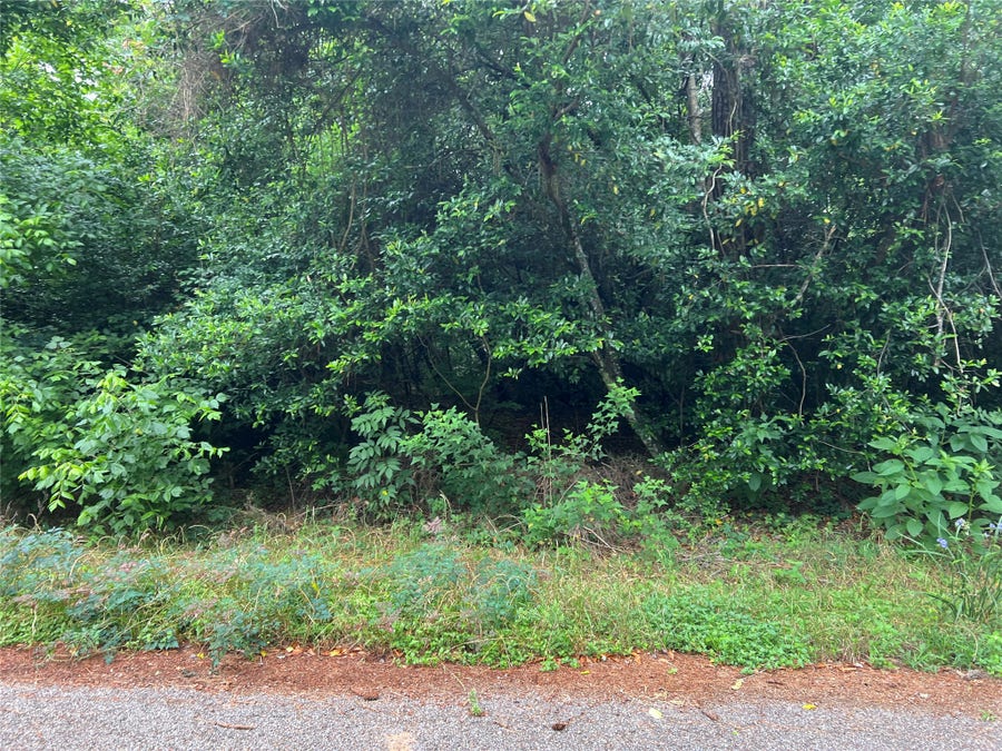 Property photo for 00 ROLLINGWOOD Loop, Conroe, TX