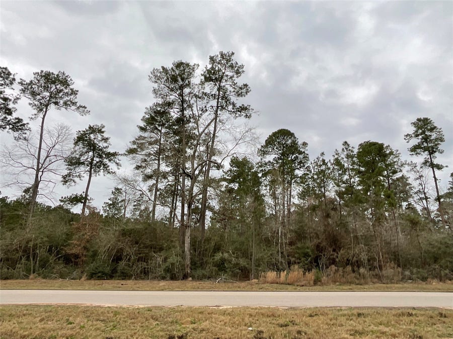 Property photo for 15877 Four Hills Road, Willis, TX