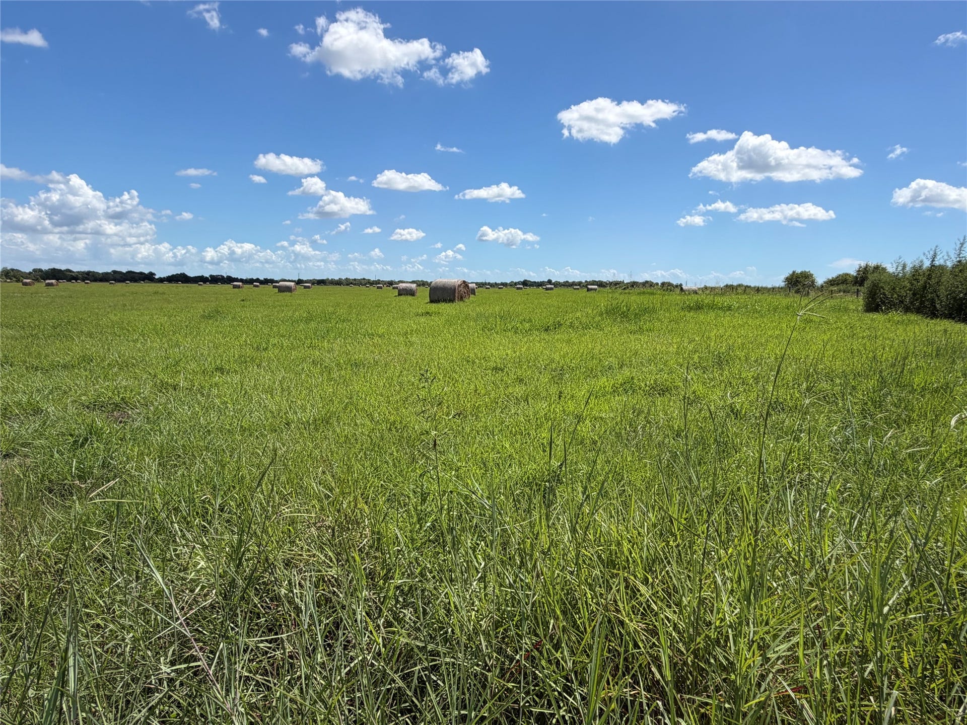 0 County Road 170, Alvin, TX 77511 0 County Road 170, Alvin, TX 77511