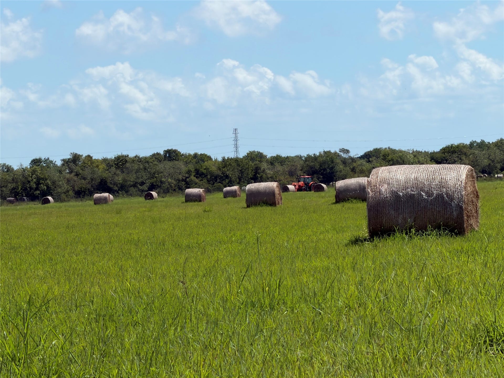 0 County Road 170, Alvin, TX 77511 0 County Road 170, Alvin, TX 77511