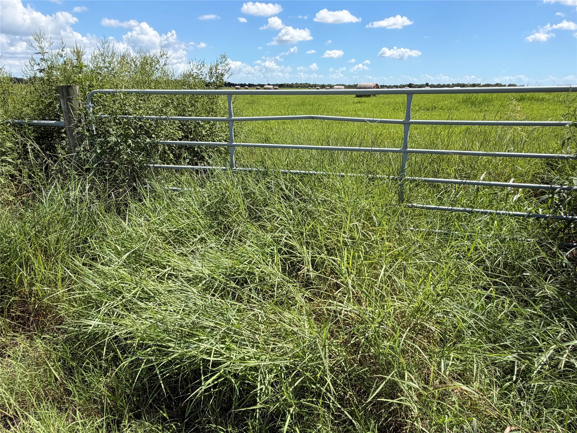 0 County Road 170, Alvin, TX 77511 0 County Road 170, Alvin, TX 77511