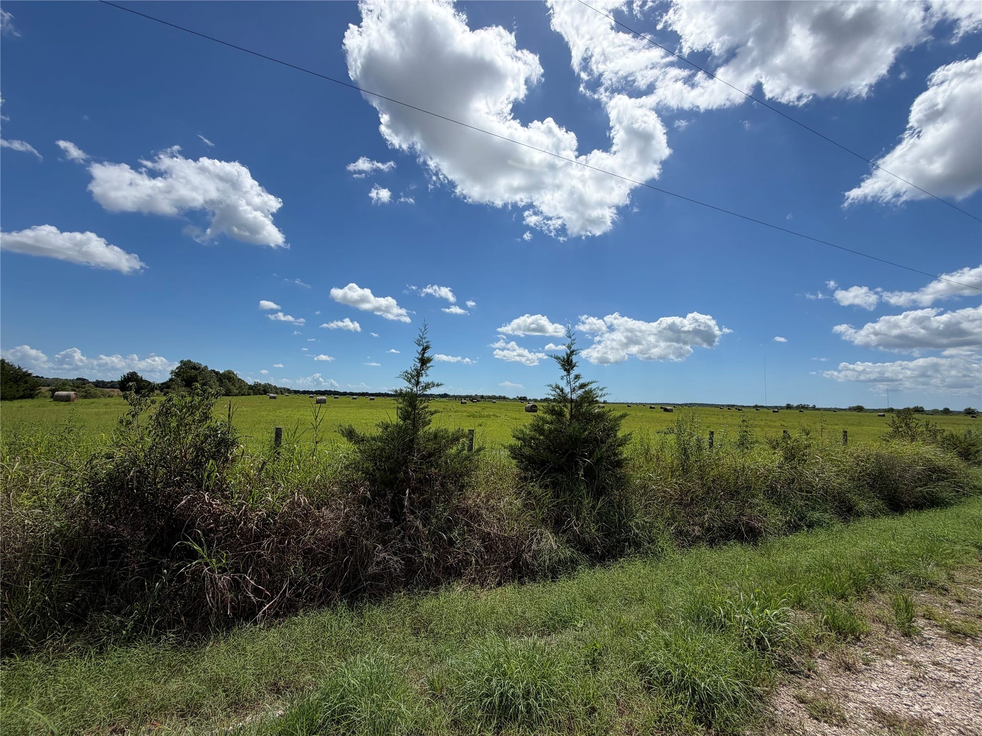 0 County Road 170, Alvin, TX 77511 0 County Road 170, Alvin, TX 77511