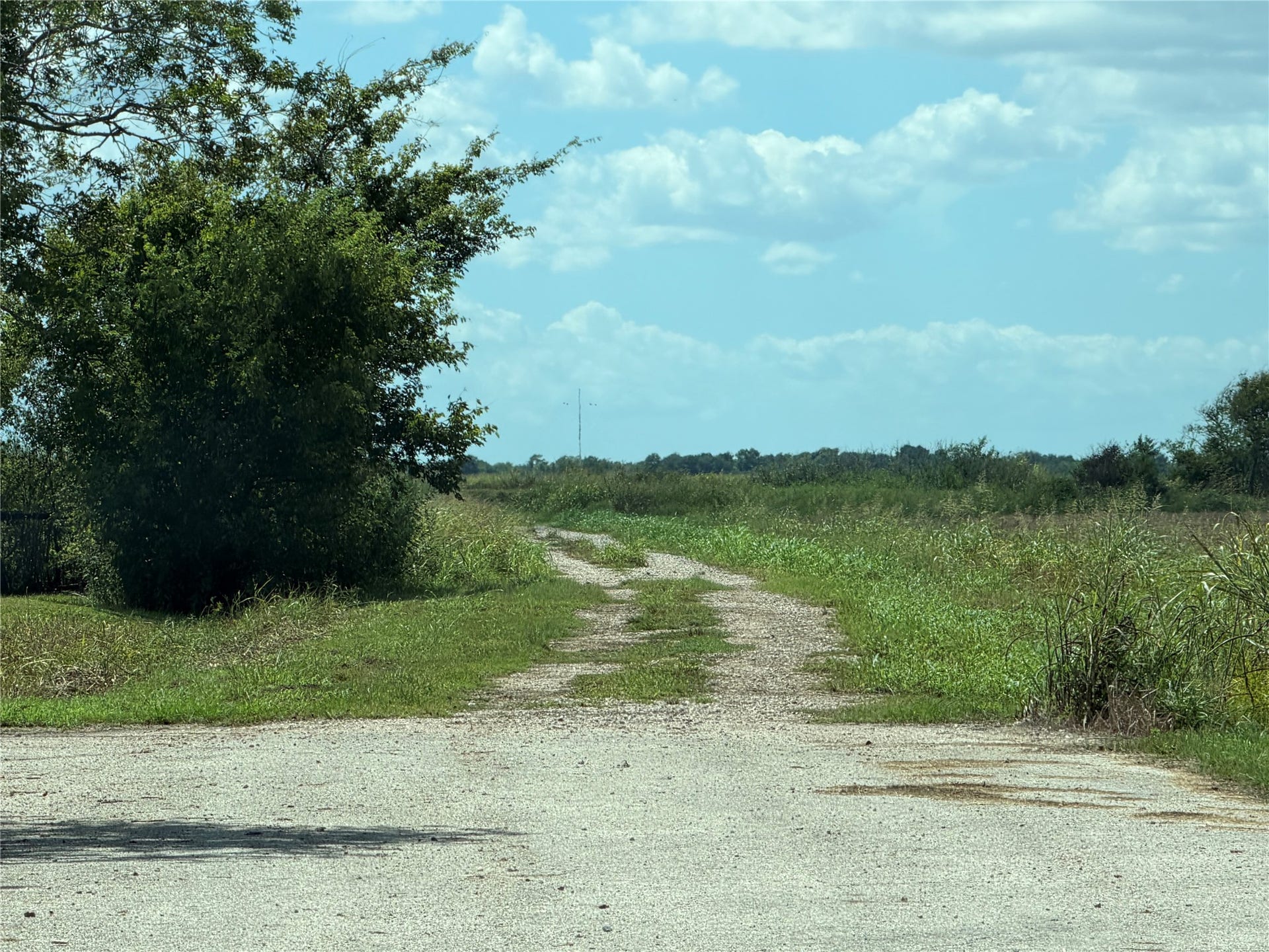 0 County Road 170, Alvin, TX 77511 0 County Road 170, Alvin, TX 77511