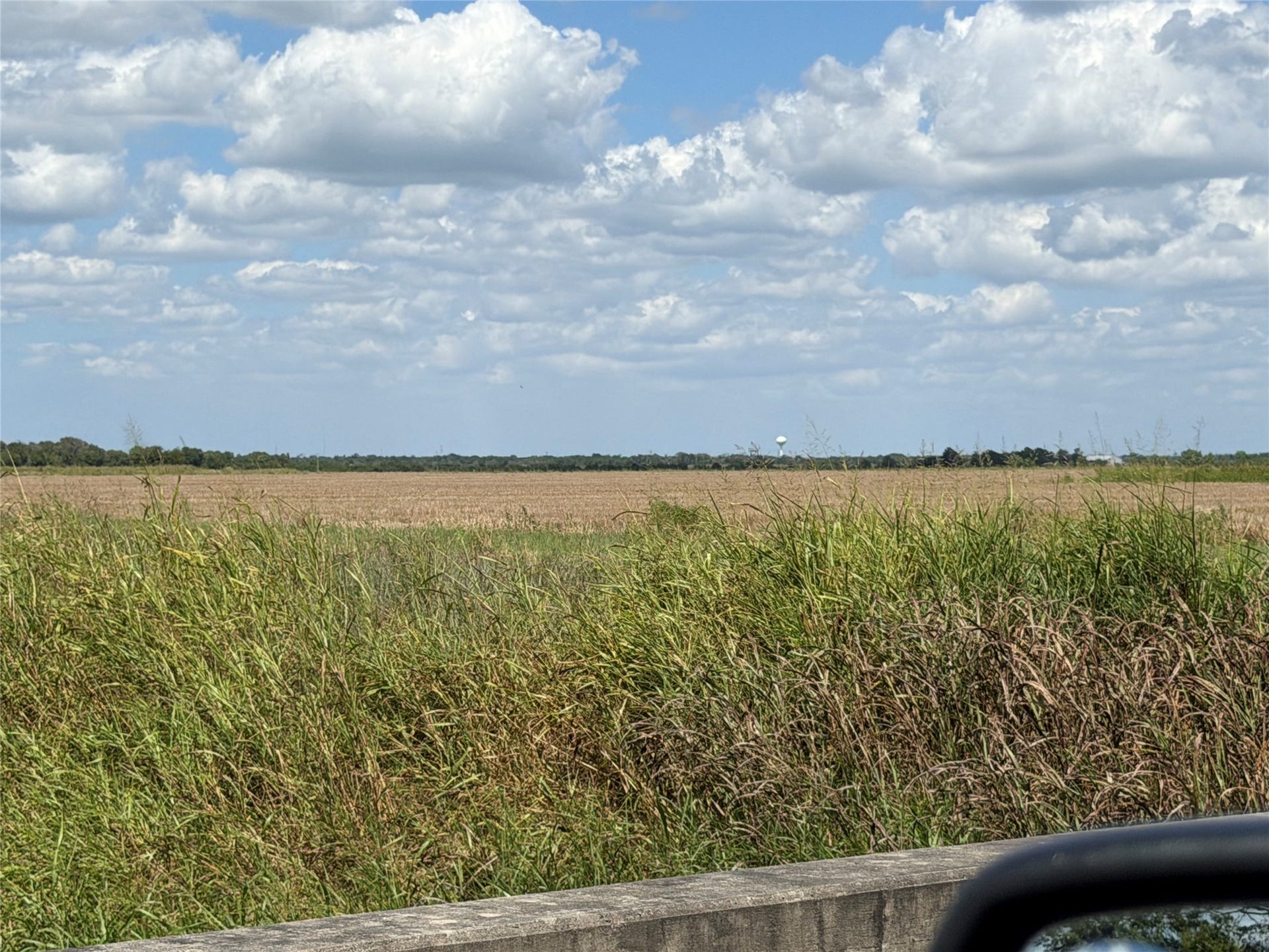 0 County Road 170, Alvin, TX 77511 0 County Road 170, Alvin, TX 77511