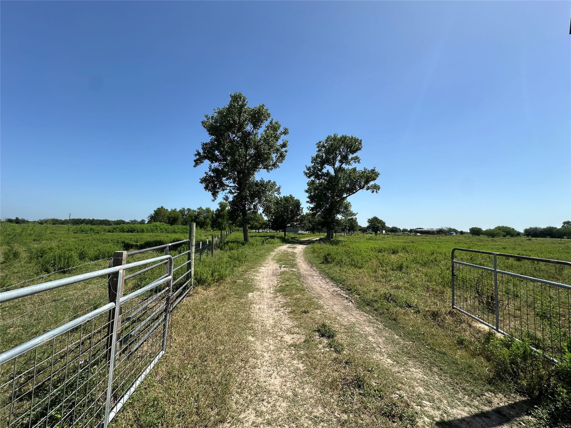 40344 Harpers Church Road, Hempstead, TX 77445 Gated entrance to the property with road leading up to the house.
