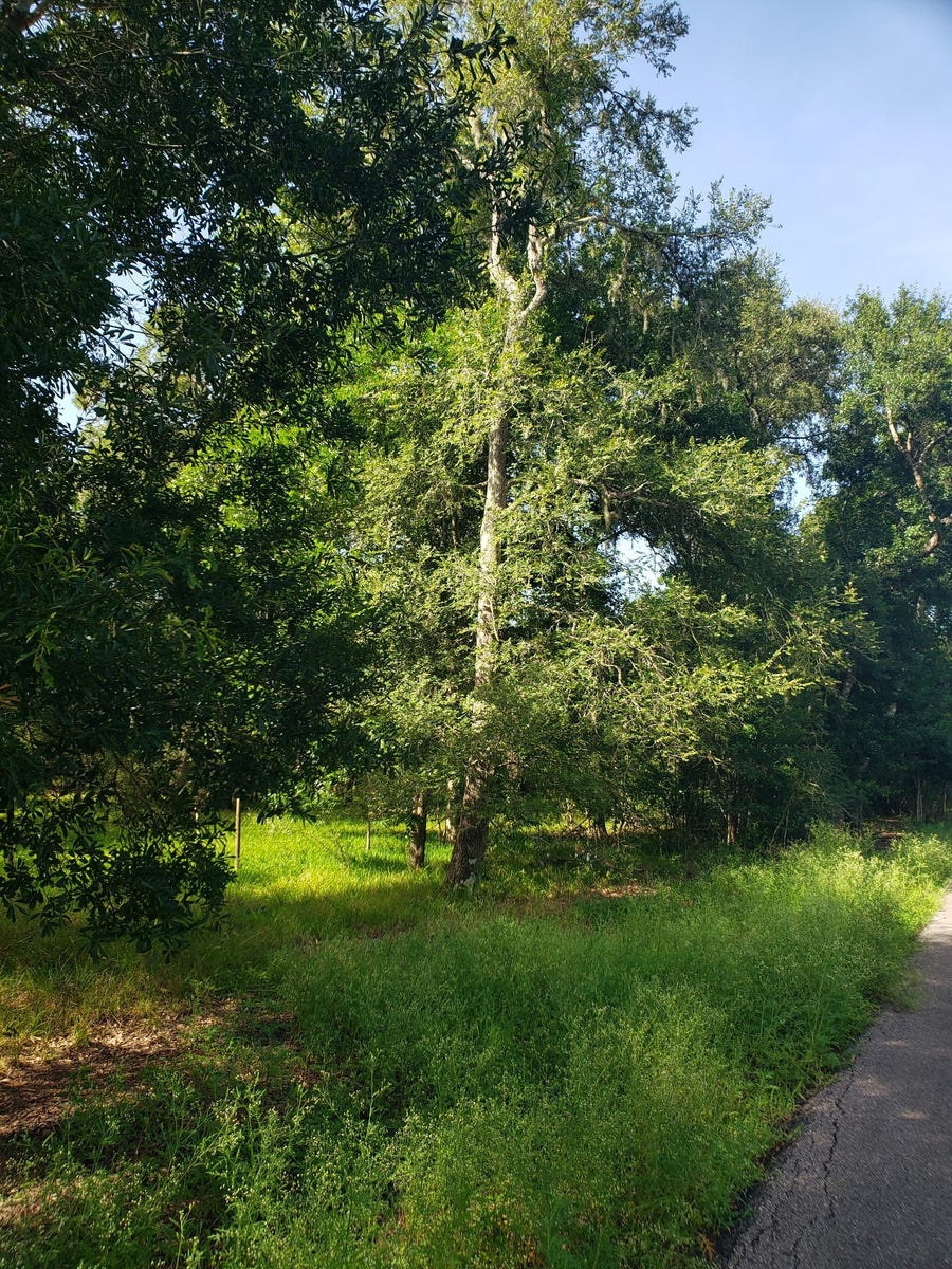 Property photo for 20921 Levee Road Road, Guy, TX
