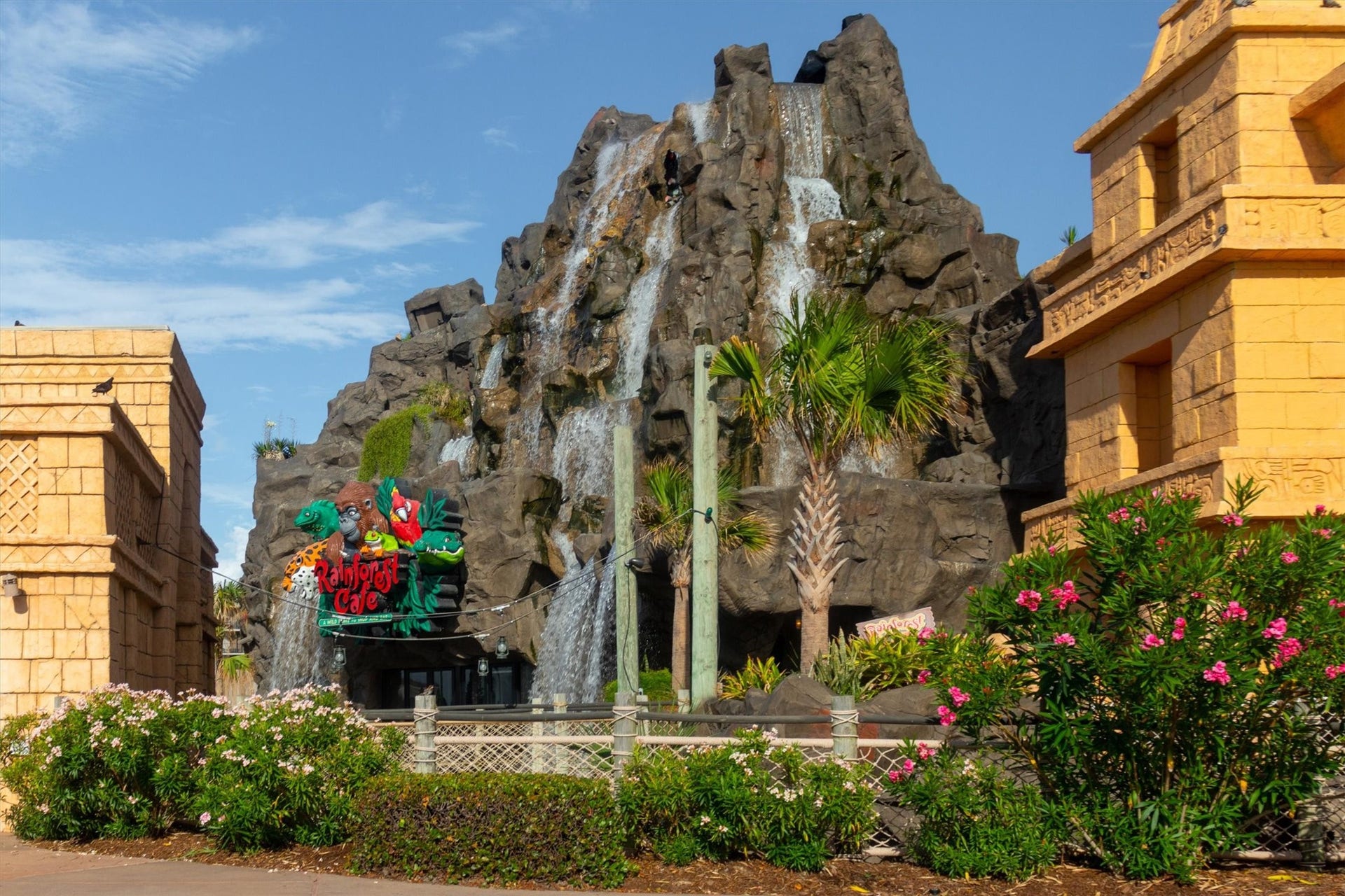 9520 Seawall Boulevard, #319, Galveston, TX 77554 9520 Seawall Boulevard, #319, Galveston, TX 77554
