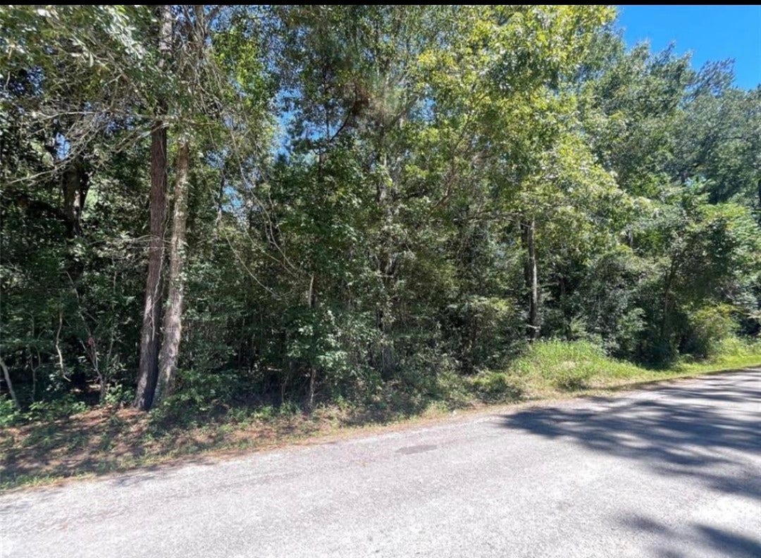 000 County Road 3669, Splendora, TX 77372