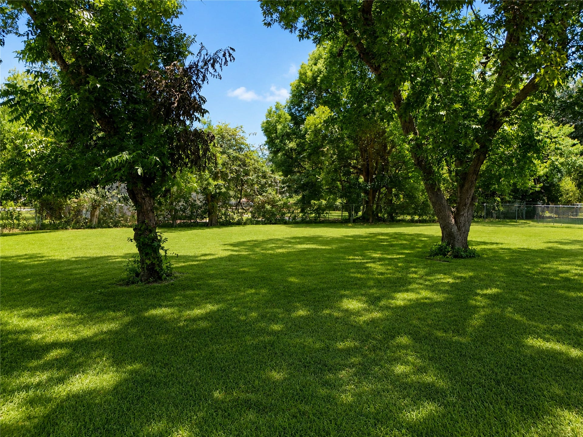 7101 2nd Street, Hitchcock, TX 77563 Look at this beautiful backyard!!