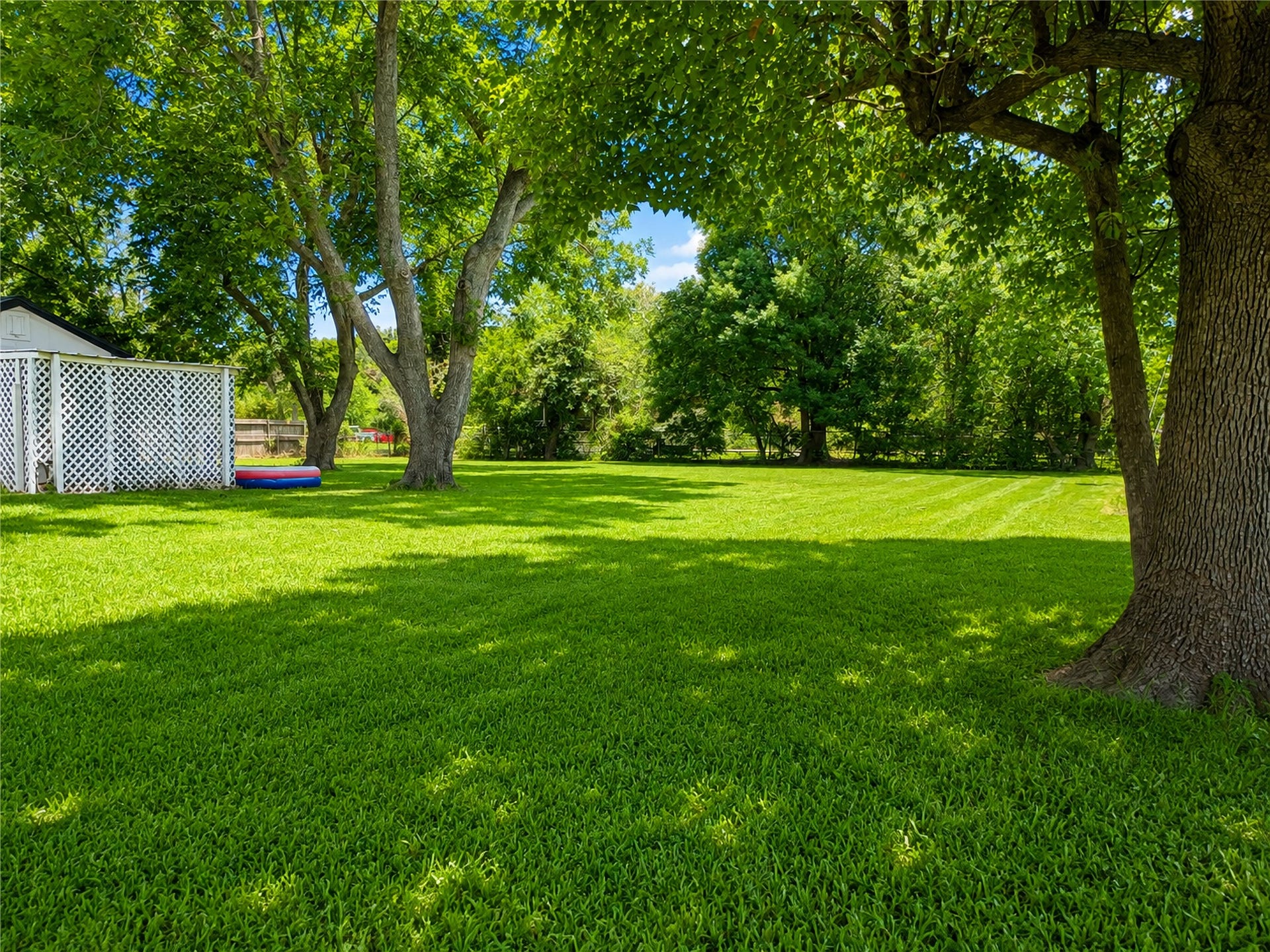 7101 2nd Street, Hitchcock, TX 77563 Backyard