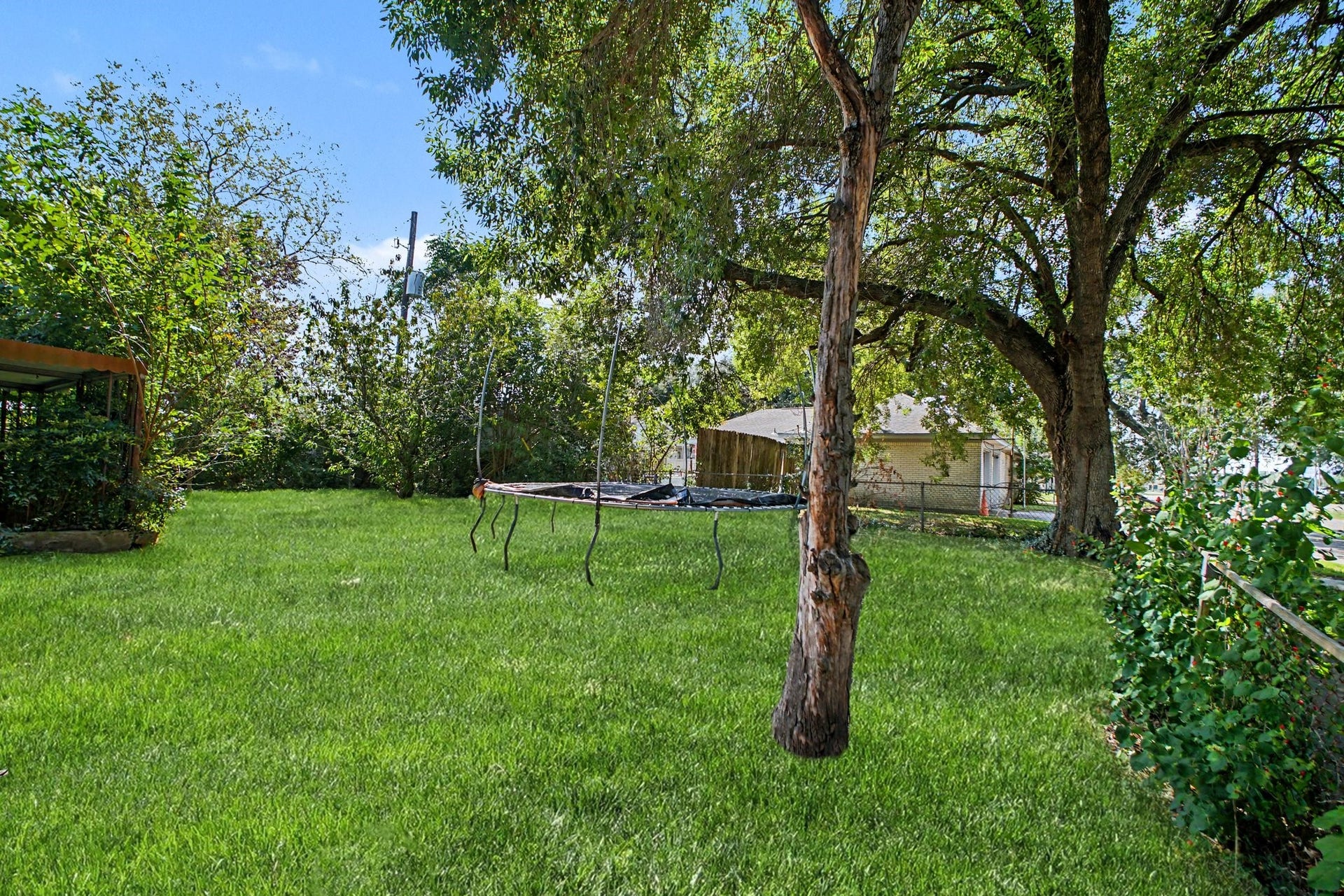 Peaceful backyard landscape featuring mature shade trees and a private, natural setting.