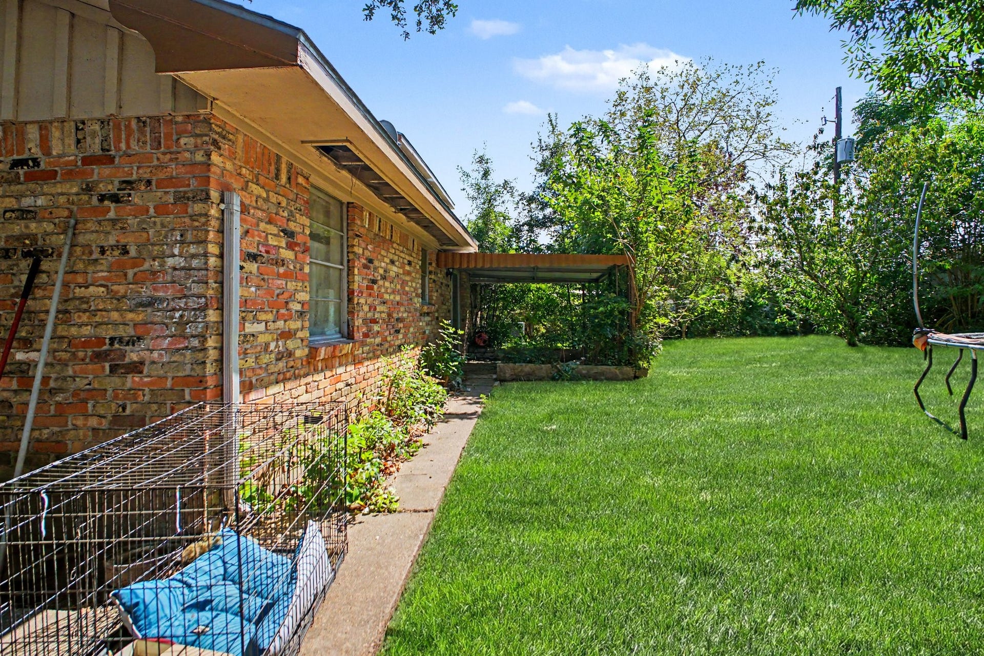 Lush green side yard showcasing expansive open grassy areas and mature boundary trees.