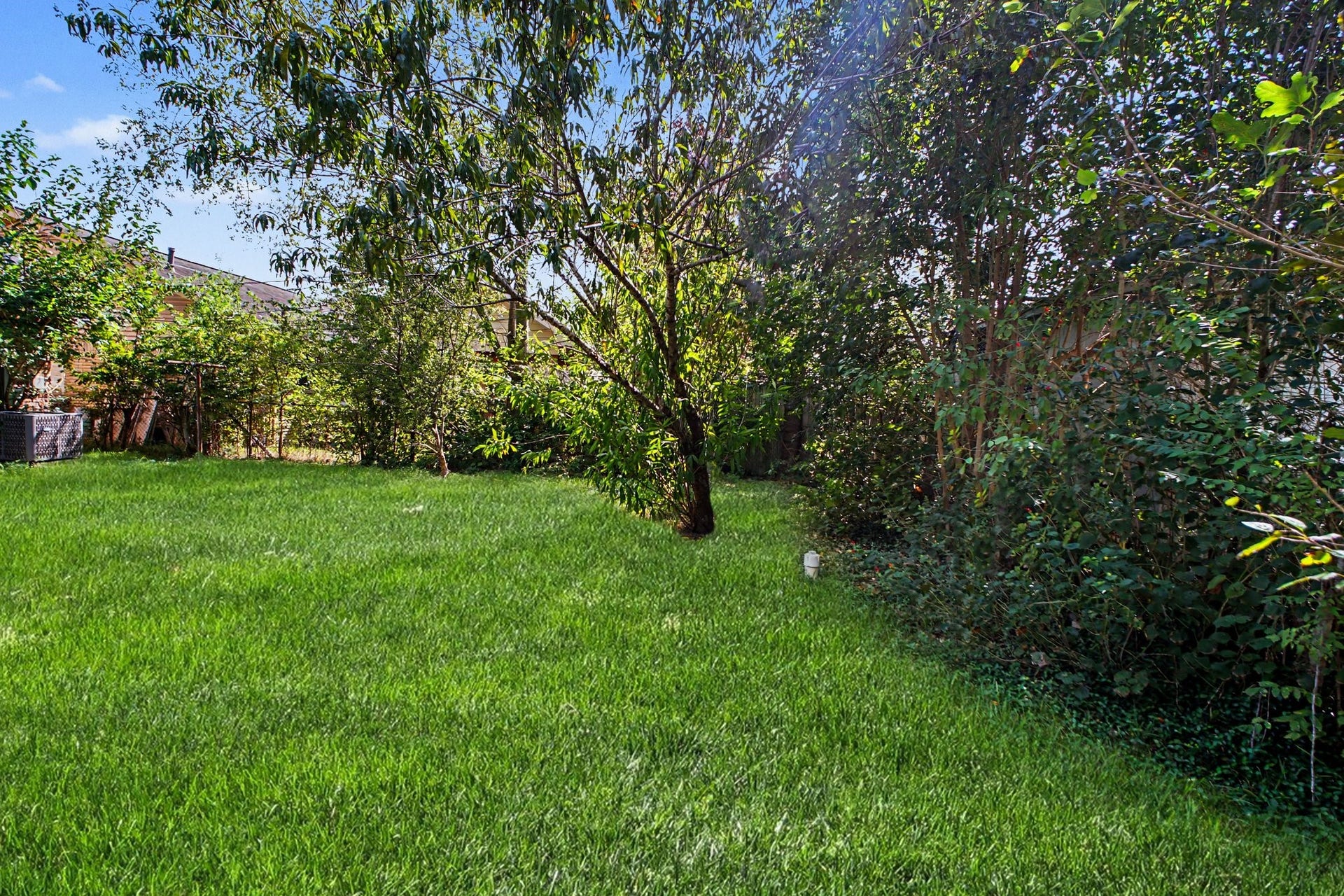 Full perimeter view of the private back property line and lush green surroundings.