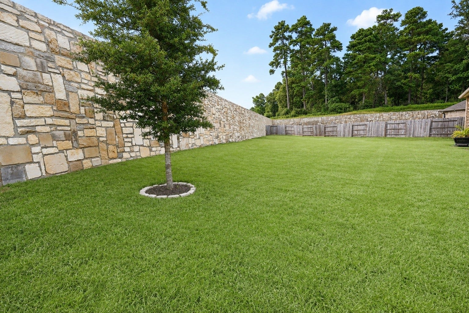 837 Dawn Redwood Court, Conroe, TX 77304 Expansive fenced backyard with lush green lawn, framed by a wooden and a stone wall, perfect for outdoor activities and privacy.